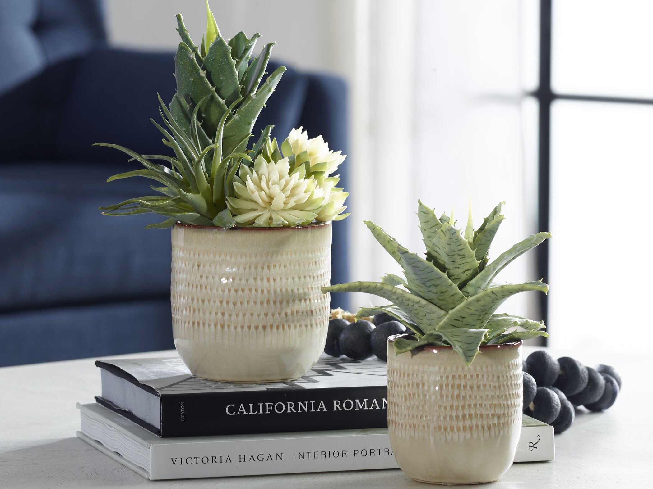 Uttermost Seaside Succulents Set of 2