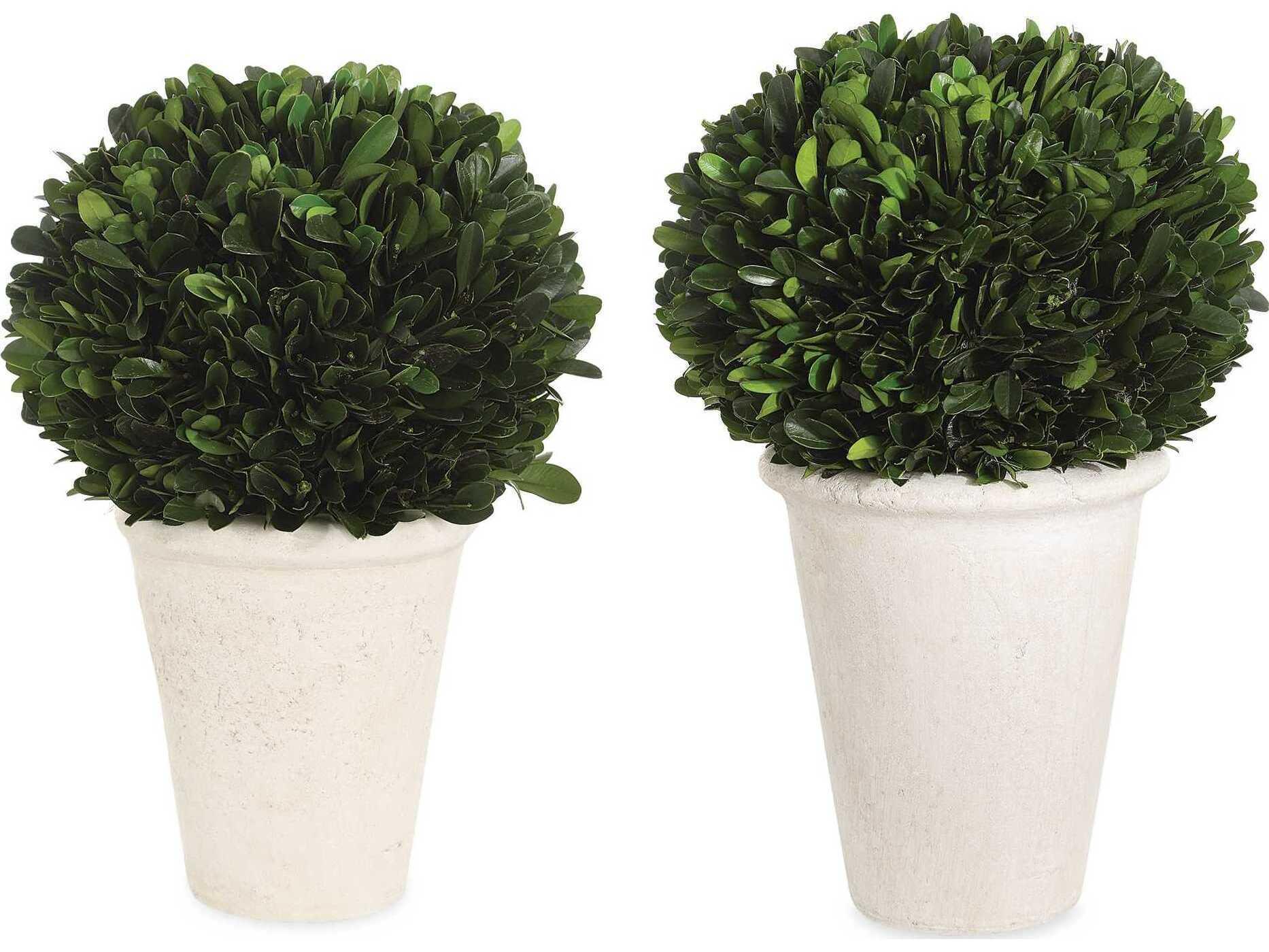 Uttermost Preserved Boxwood Domes (Set of 2)