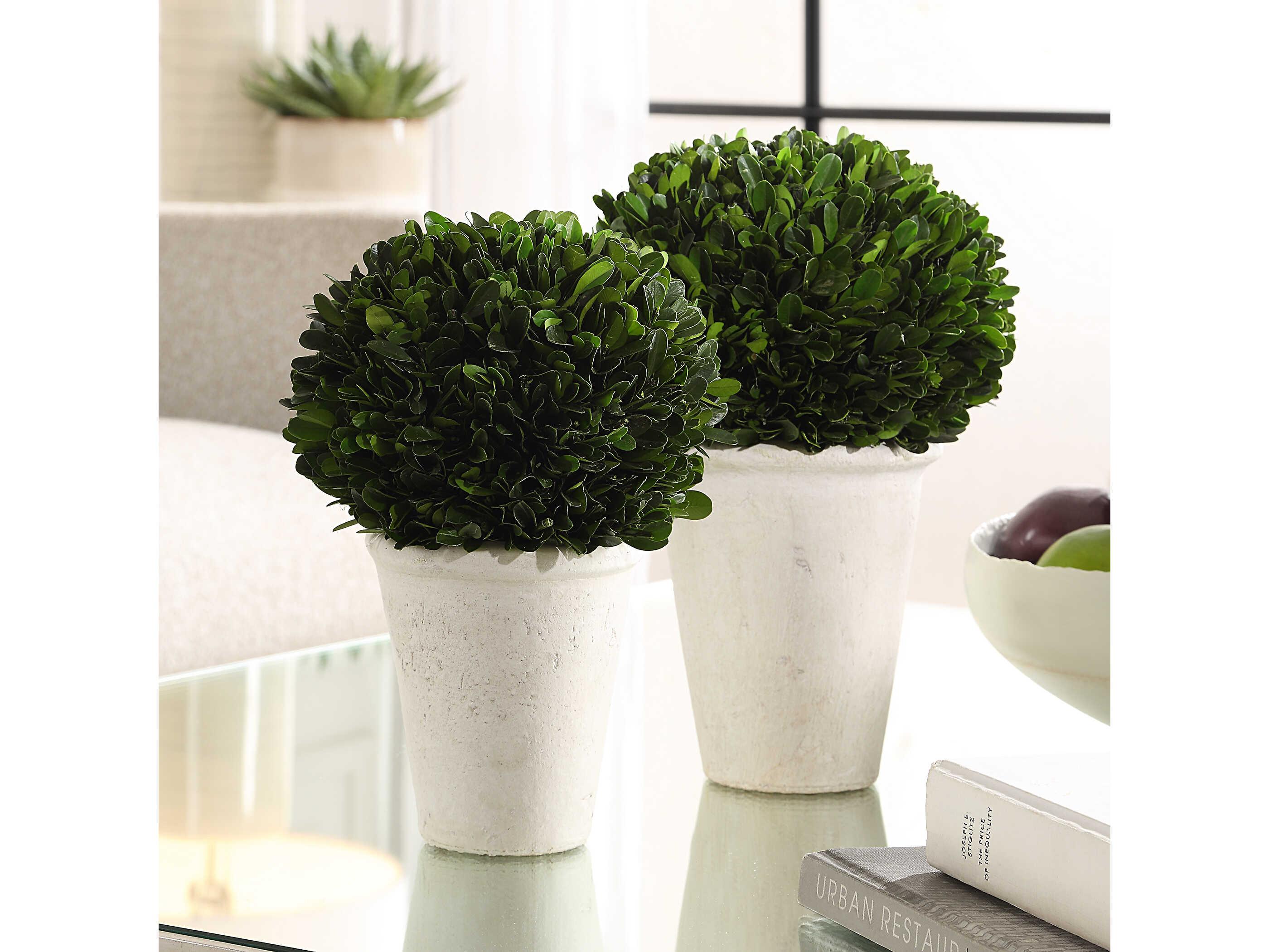 Uttermost Preserved Boxwood Domes (Set of 2)