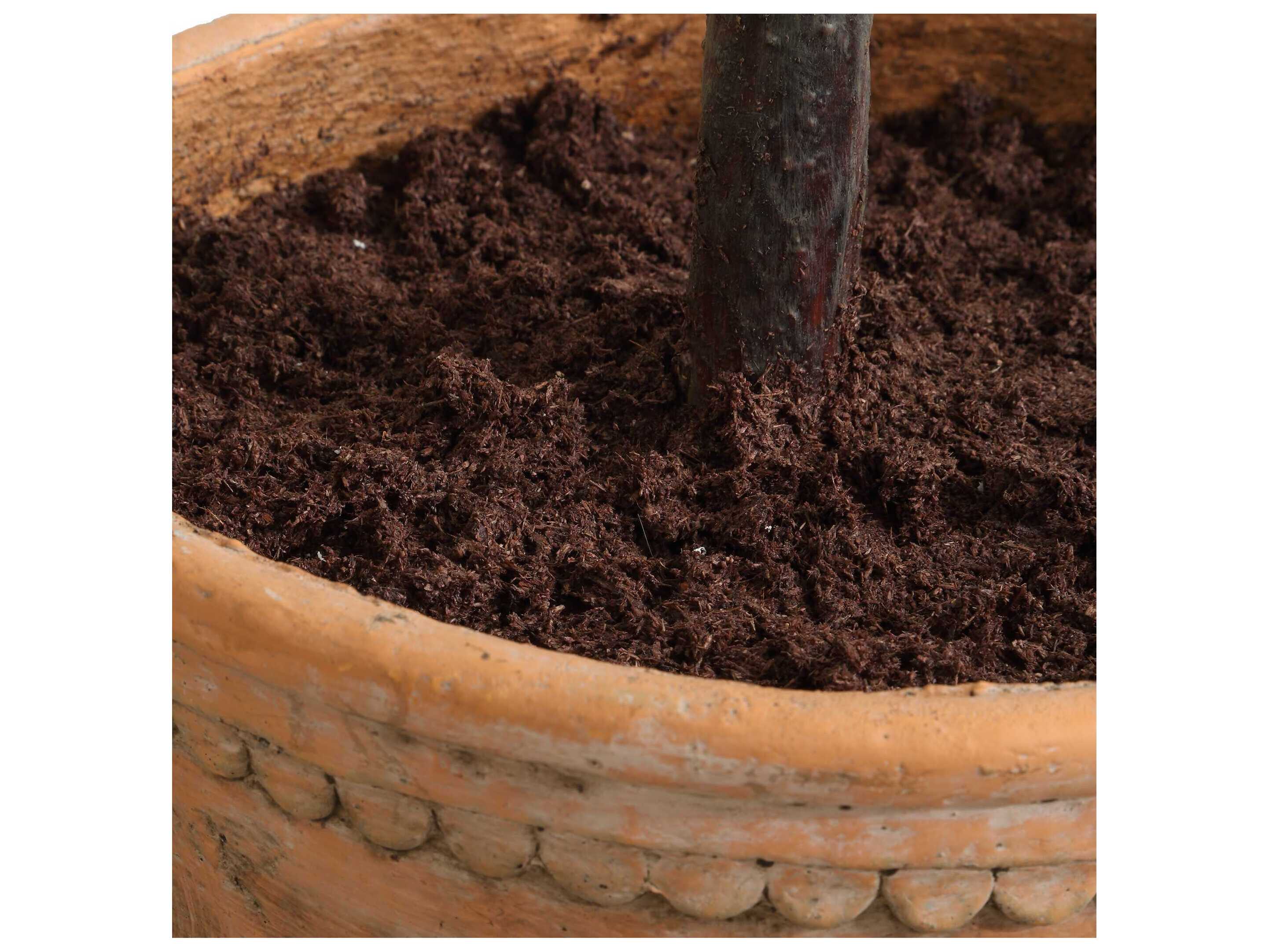 Uttermost Olea Potted Olive Tree