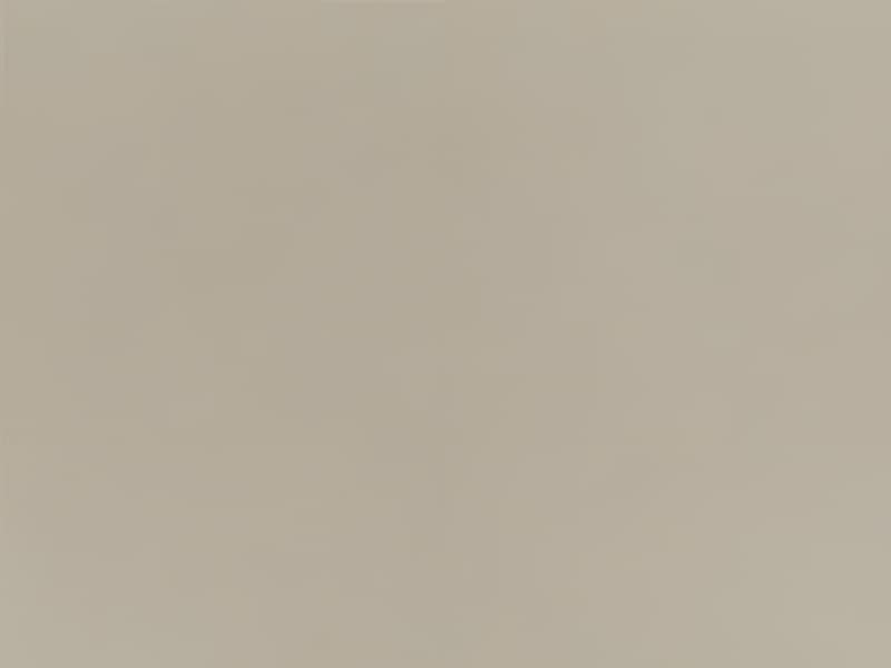 Vanguard Furniture Dunecrest Dining Chair