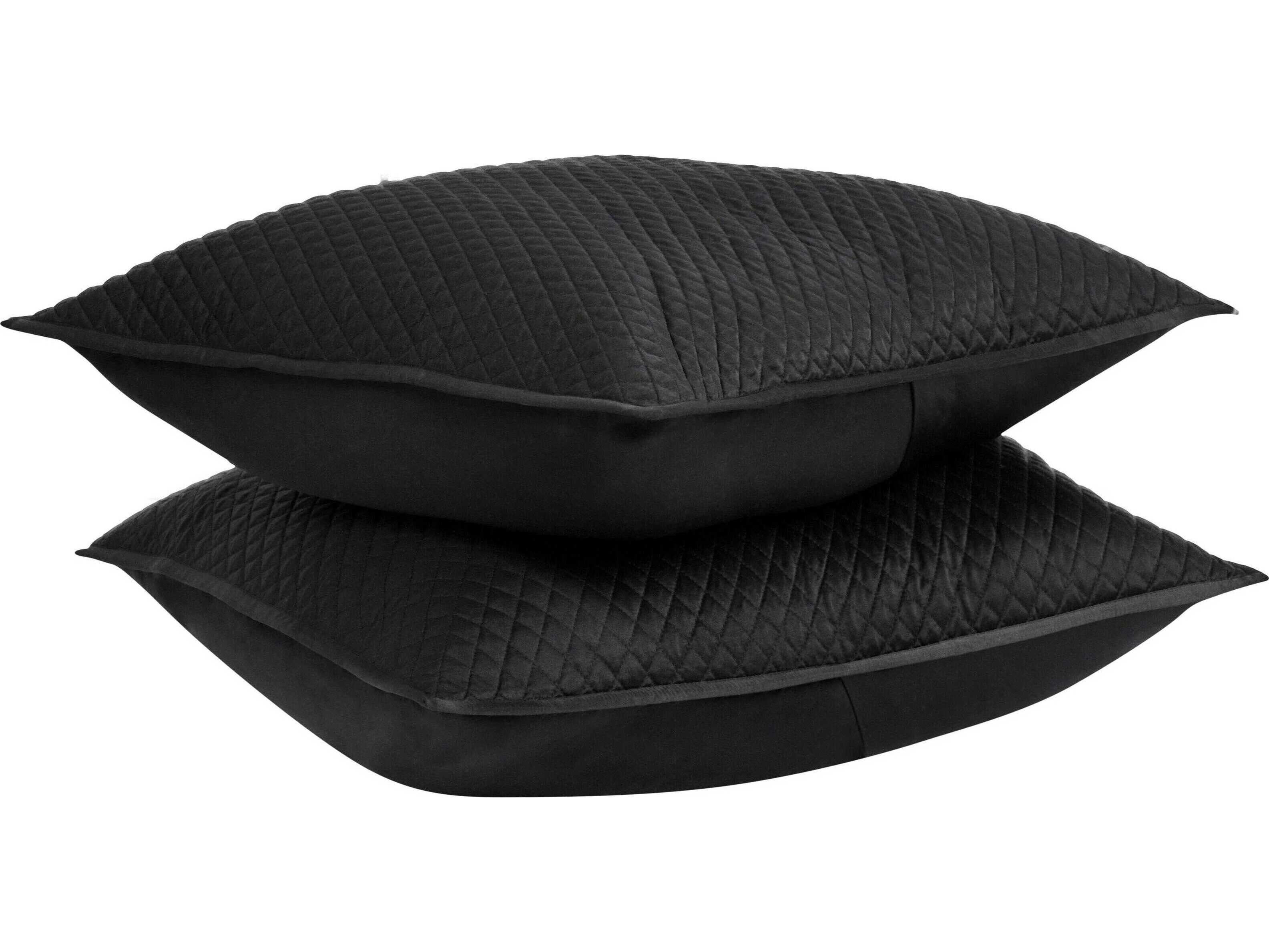 Villa by Classic Home Winthrop Black Euro Sham