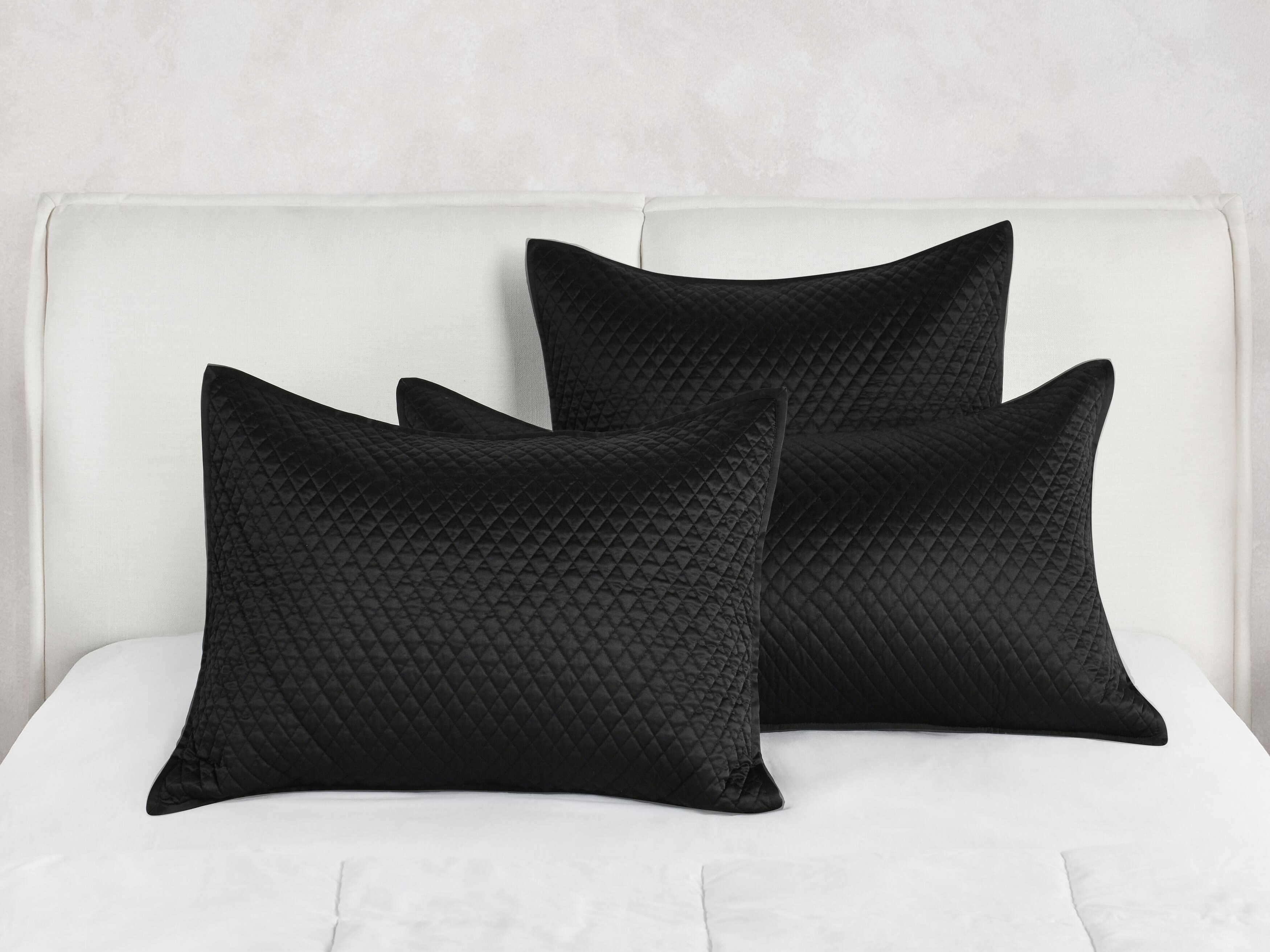 Villa by Classic Home Winthrop Black Euro Sham