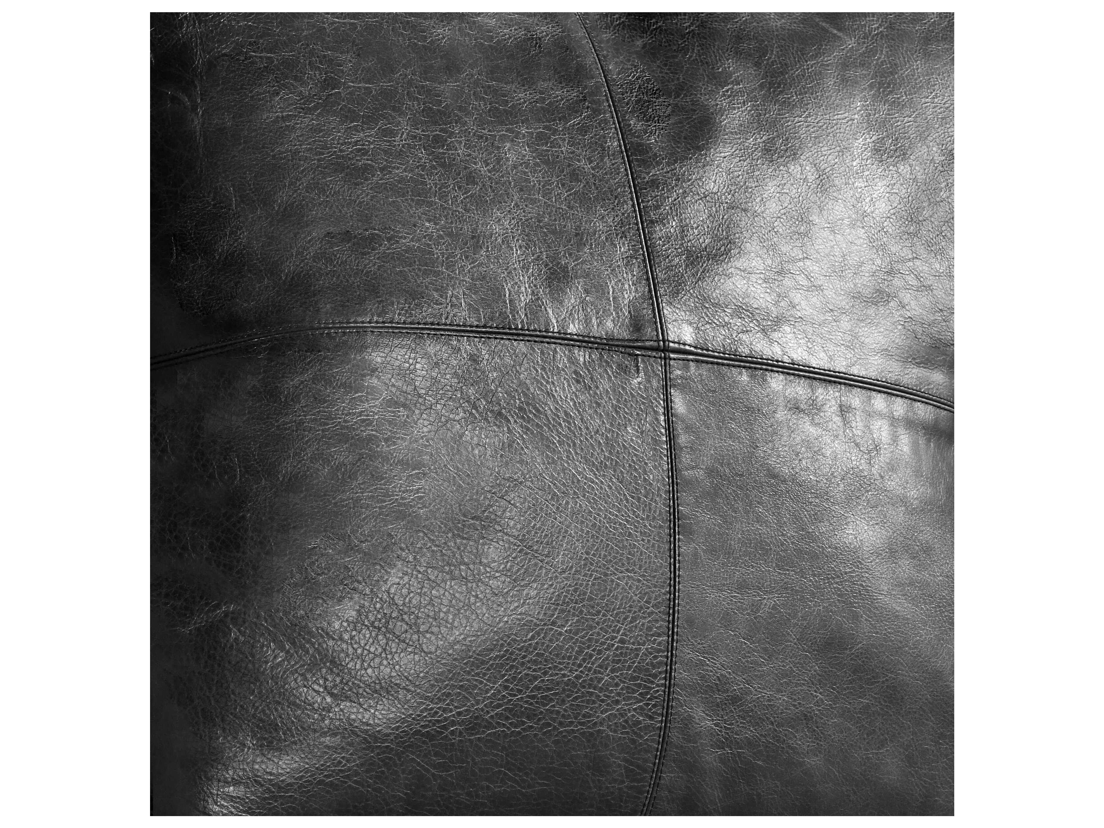 Villa by Classic Home Cheyenne Black Throw Pillow