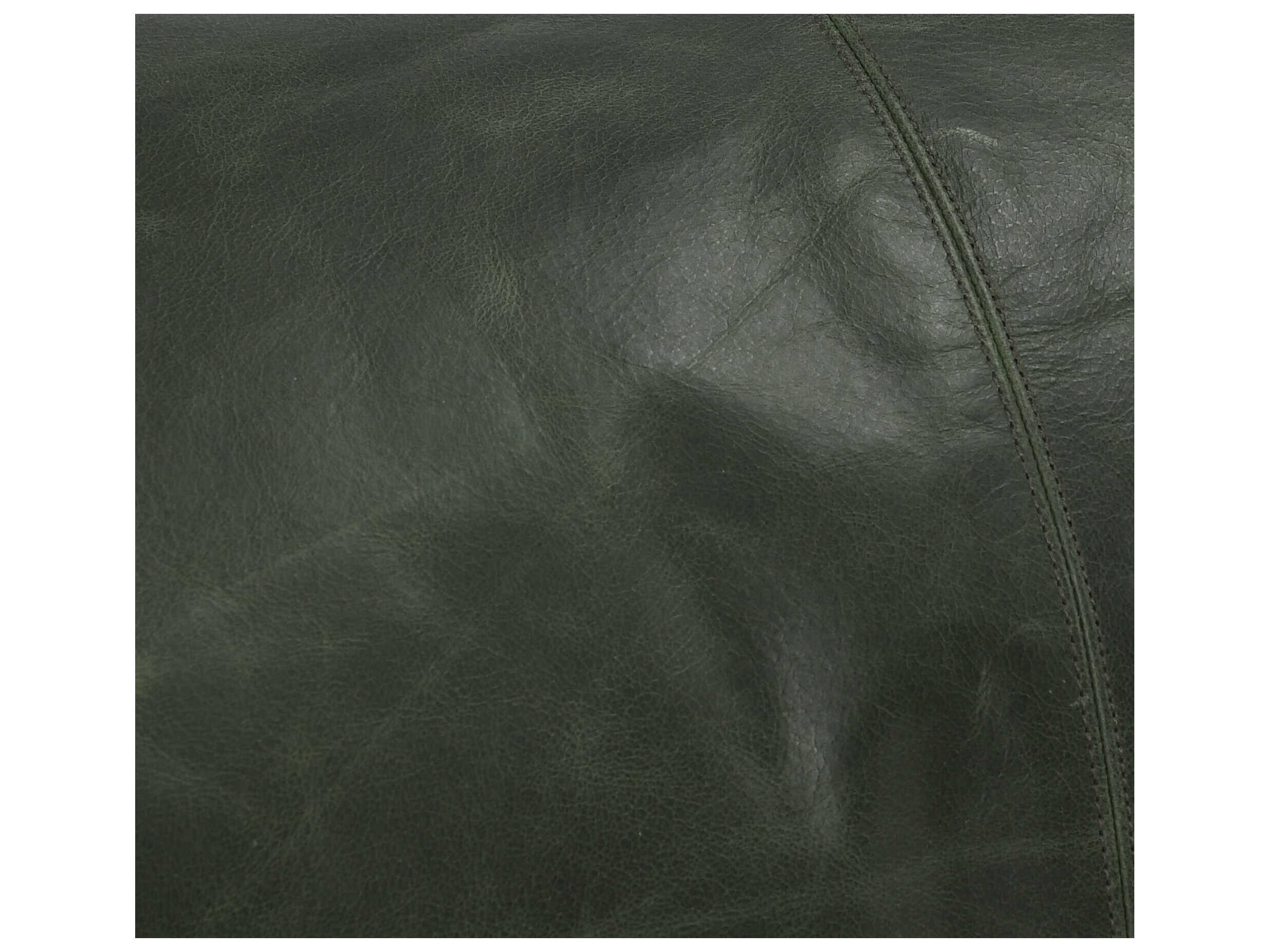 Villa by Classic Home Cheyenne Forest Green Throw Pillow