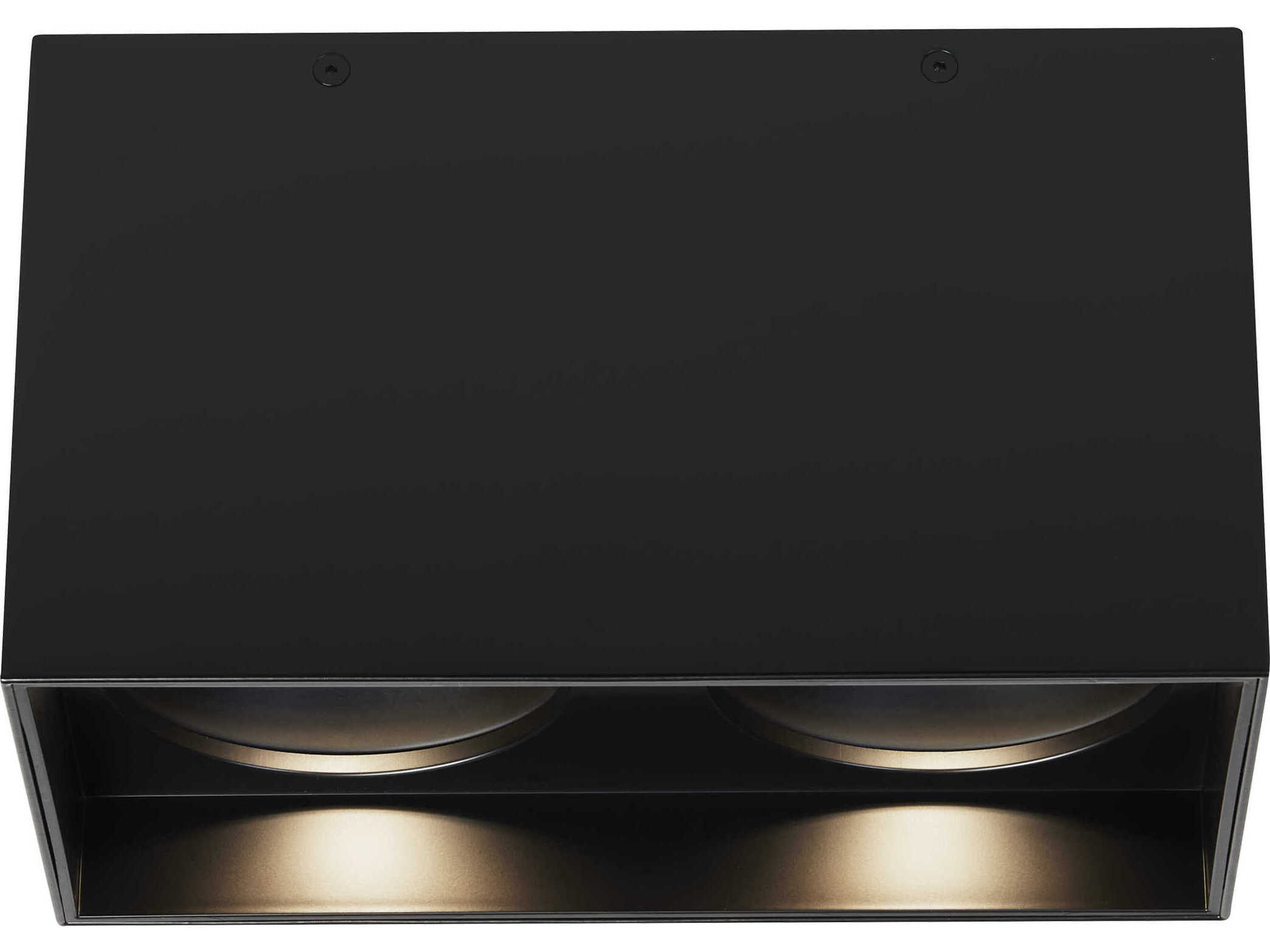 Visual Comfort Modern Exo 2-Light Matte Black Flush Mount