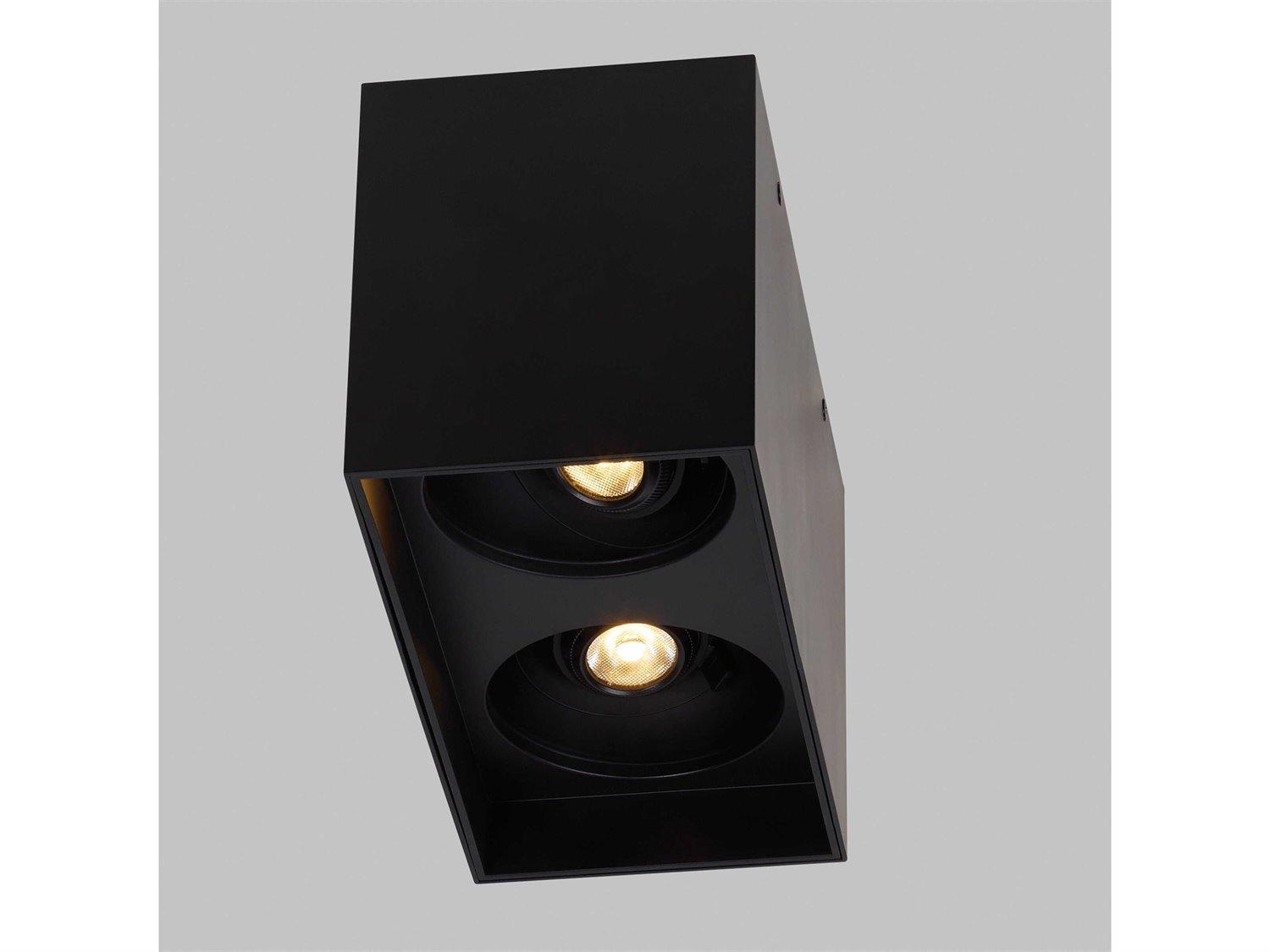 Visual Comfort Modern Exo 2-Light Matte Black Flush Mount