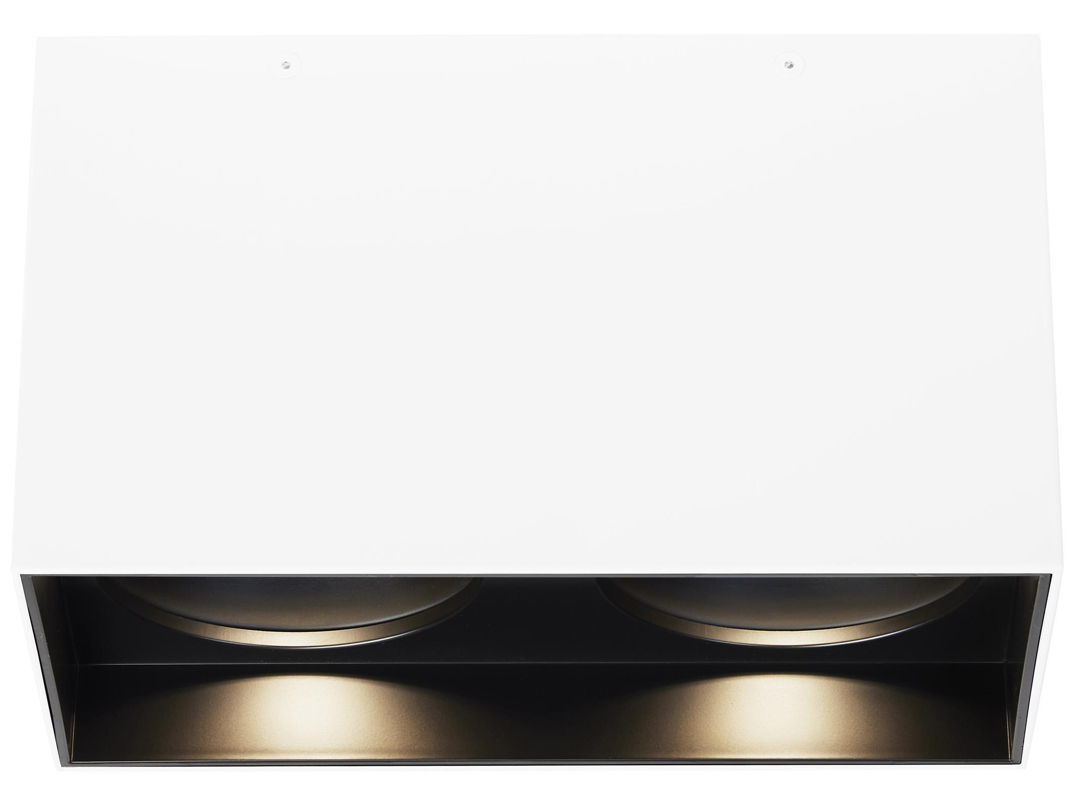 Visual Comfort Modern Exo 2-Light Matte White Black Flush Mount