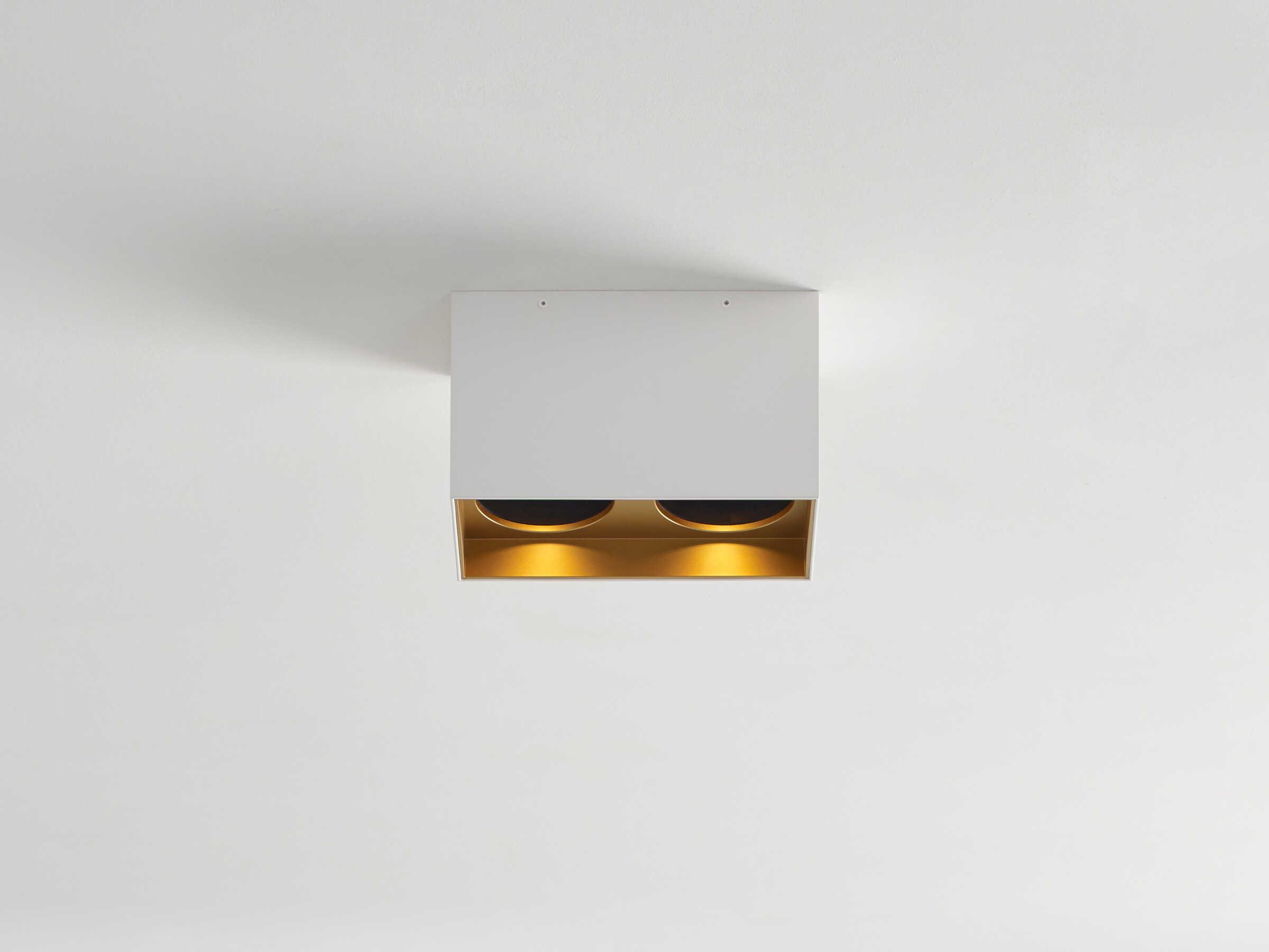 Visual Comfort Modern Exo 2-Light Matte White Gold Haze Flush Mount