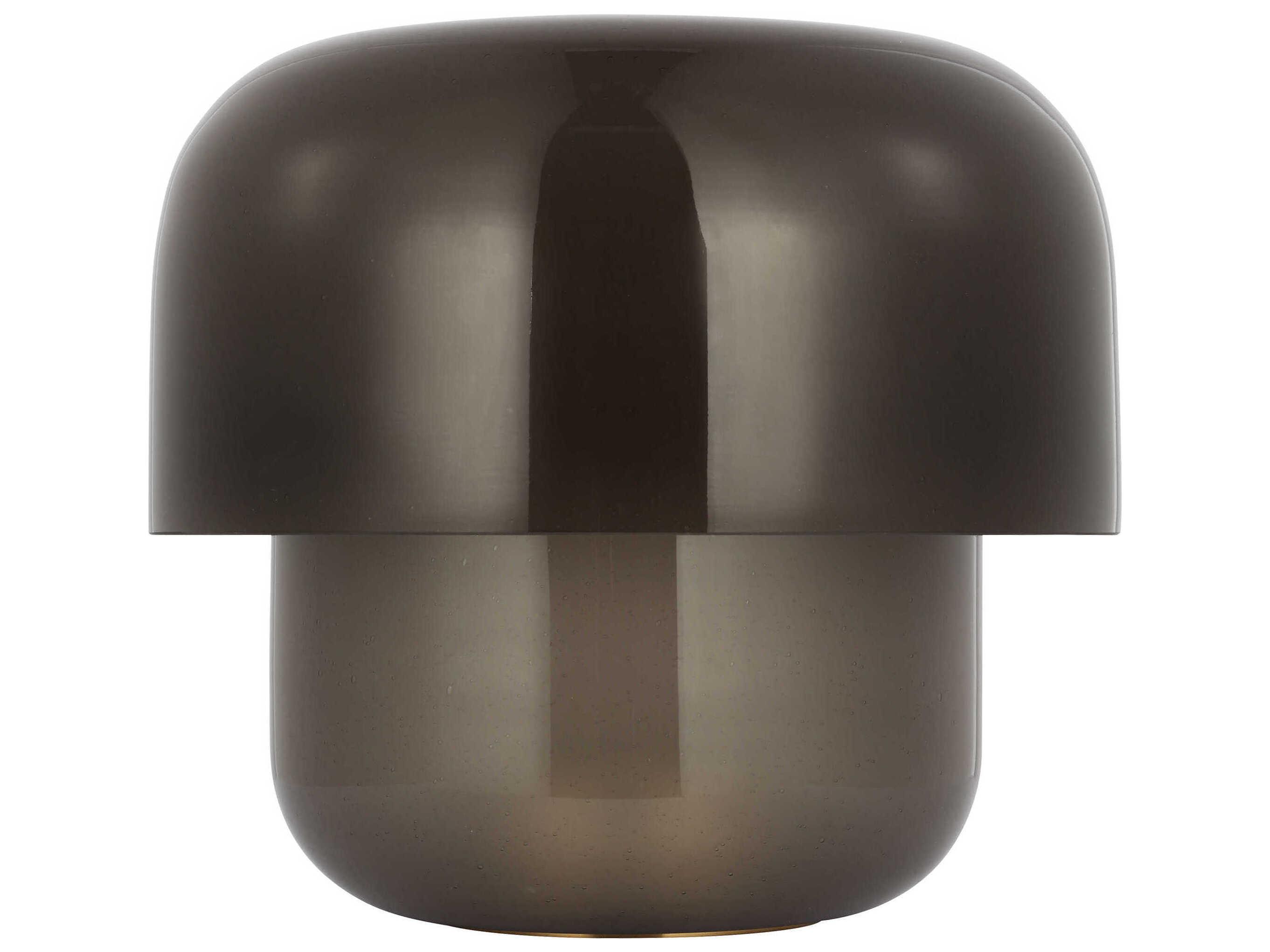 Visual Comfort Modern Bolete Hand Rubbed Antique Brass Seeded Smoke Glass Black Table Lamp