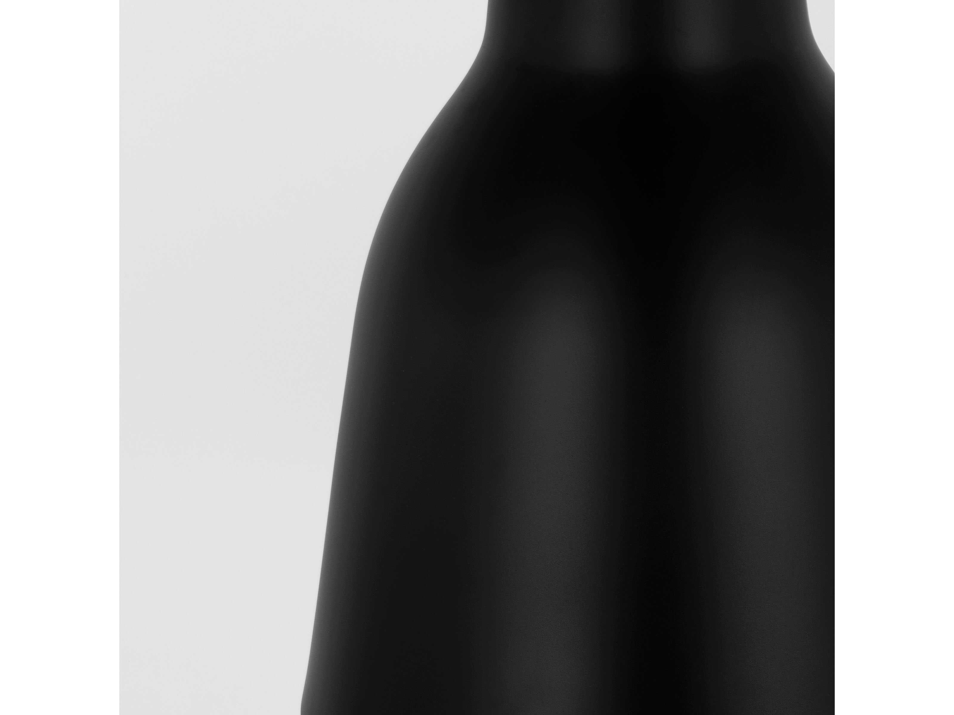 Visual Comfort Modern Forge 1-Light Black Natural Brass Pendant