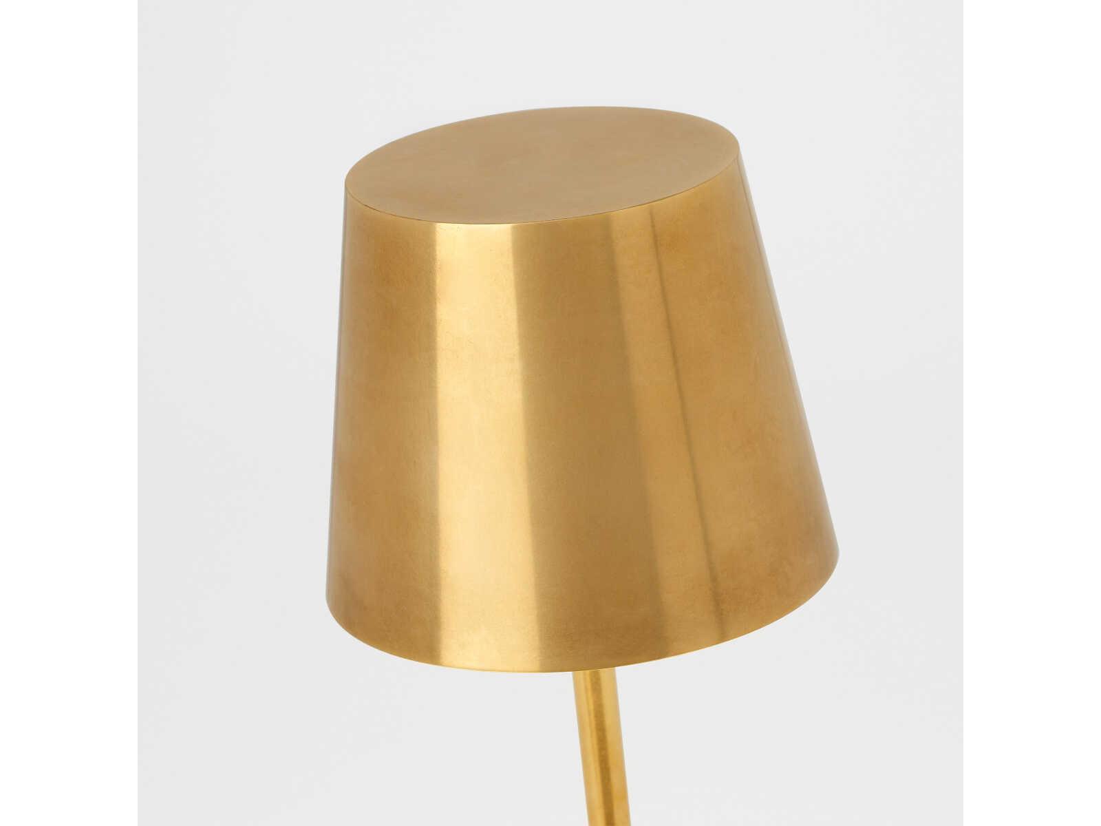 Visual Comfort Modern Nevis Natural Brass Table Lamp
