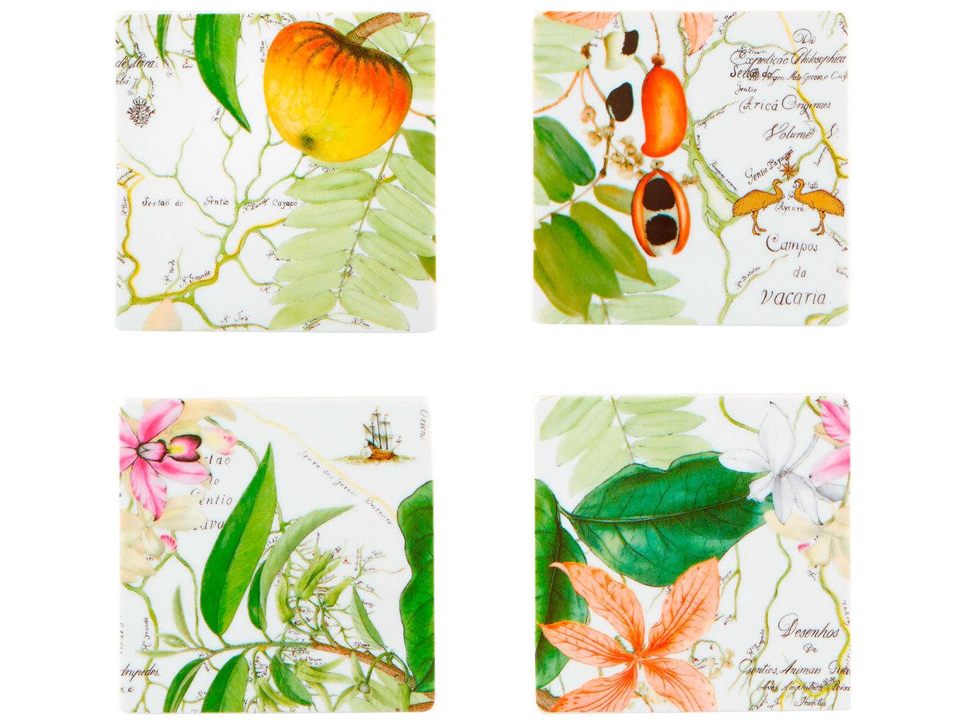 Vista Alegre Amazonia Coasters Set of 4