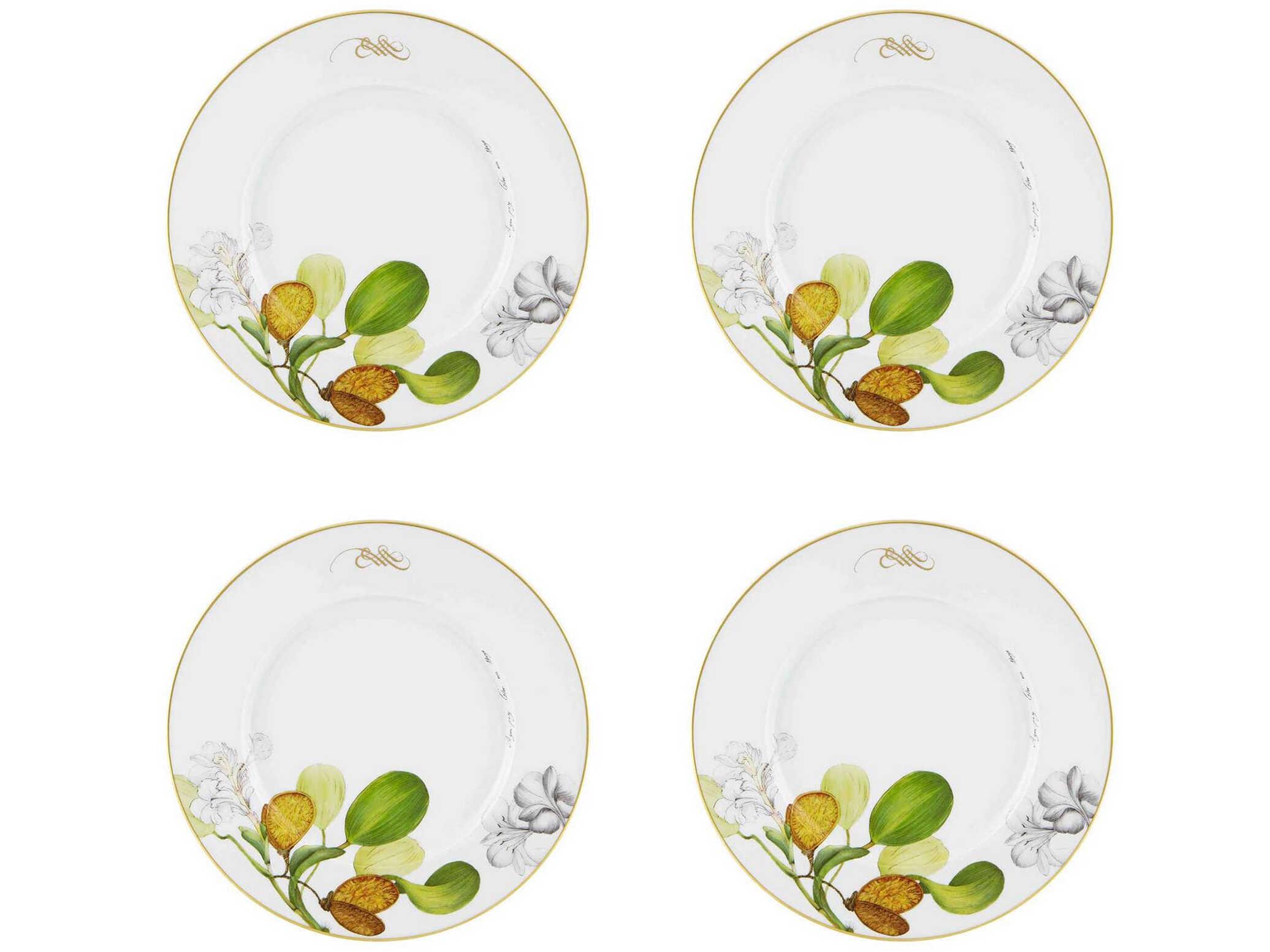 Vista Alegre Amazonia 16 Piece Set