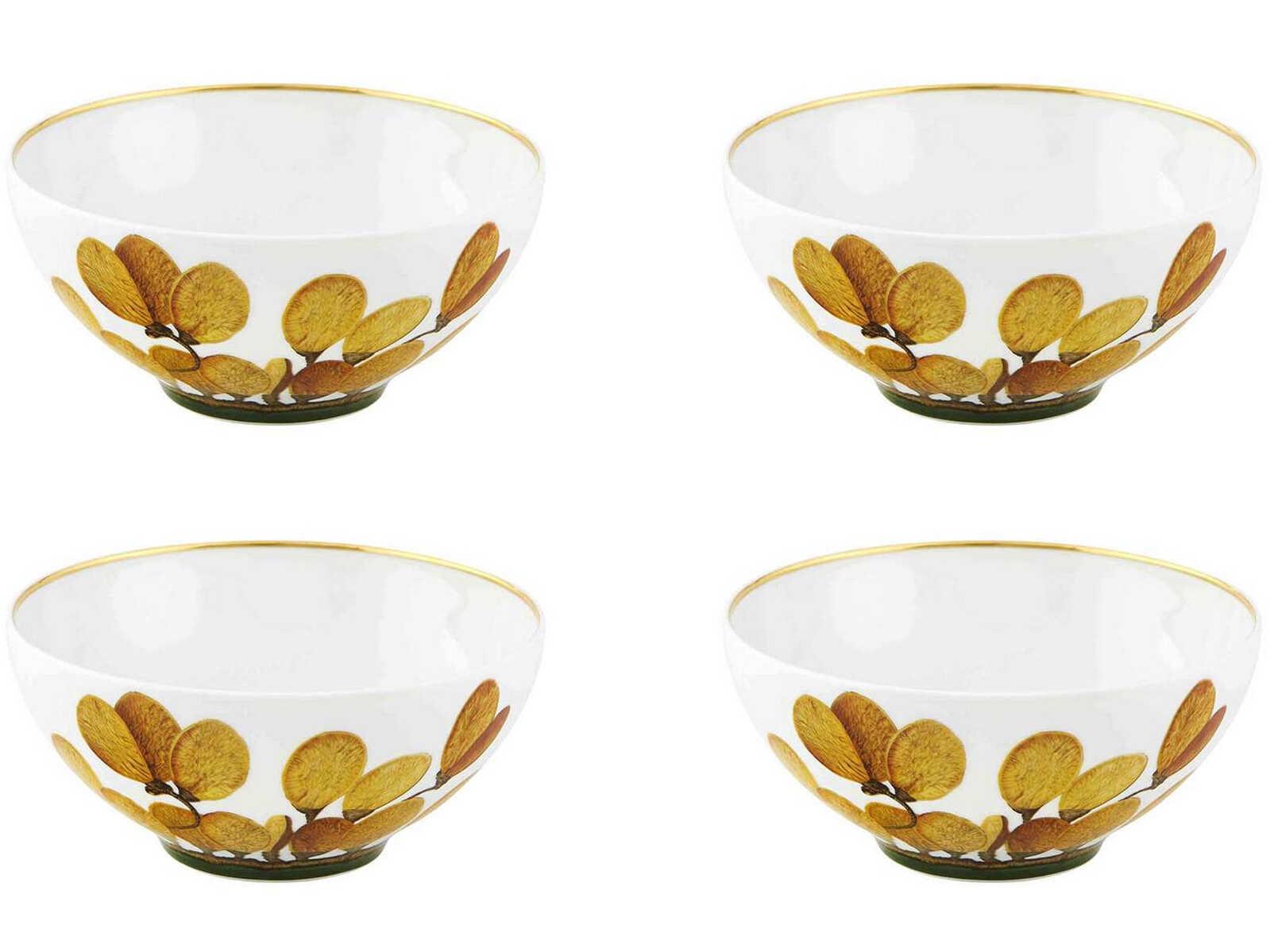 Vista Alegre Amazonia 16 Piece Set