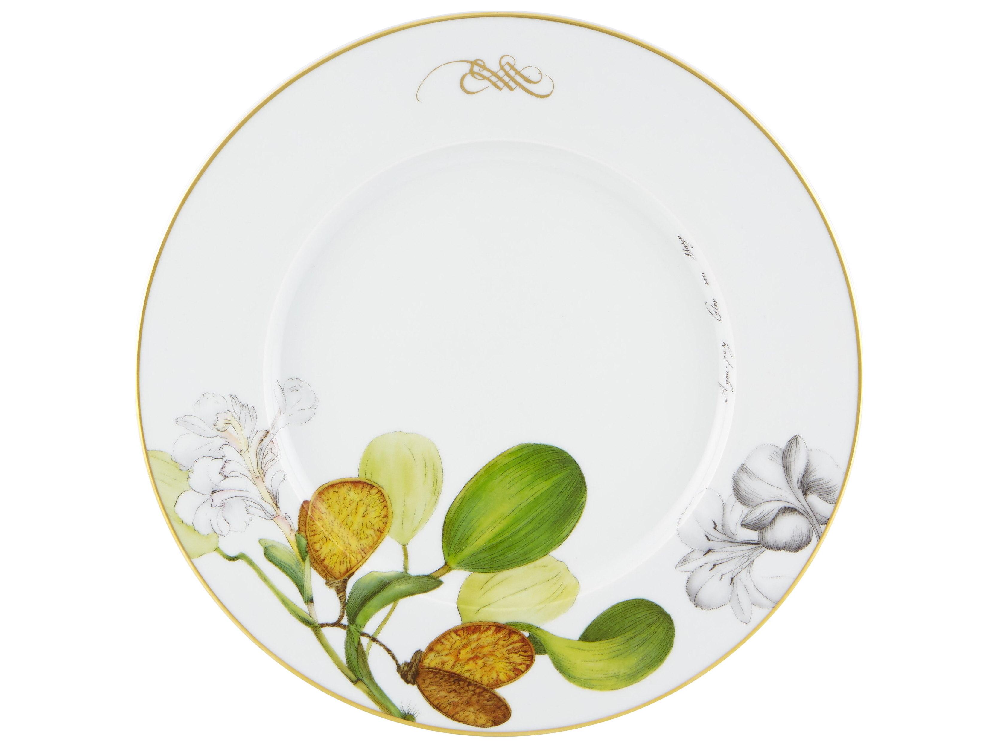 Vista Alegre Amazonia Dinner Plate Set of 4