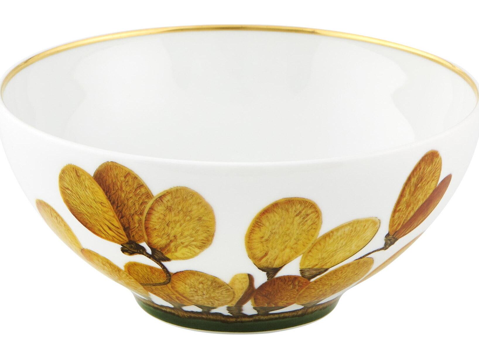 Vista Alegre Amazonia Cereal Bowl Set of 4