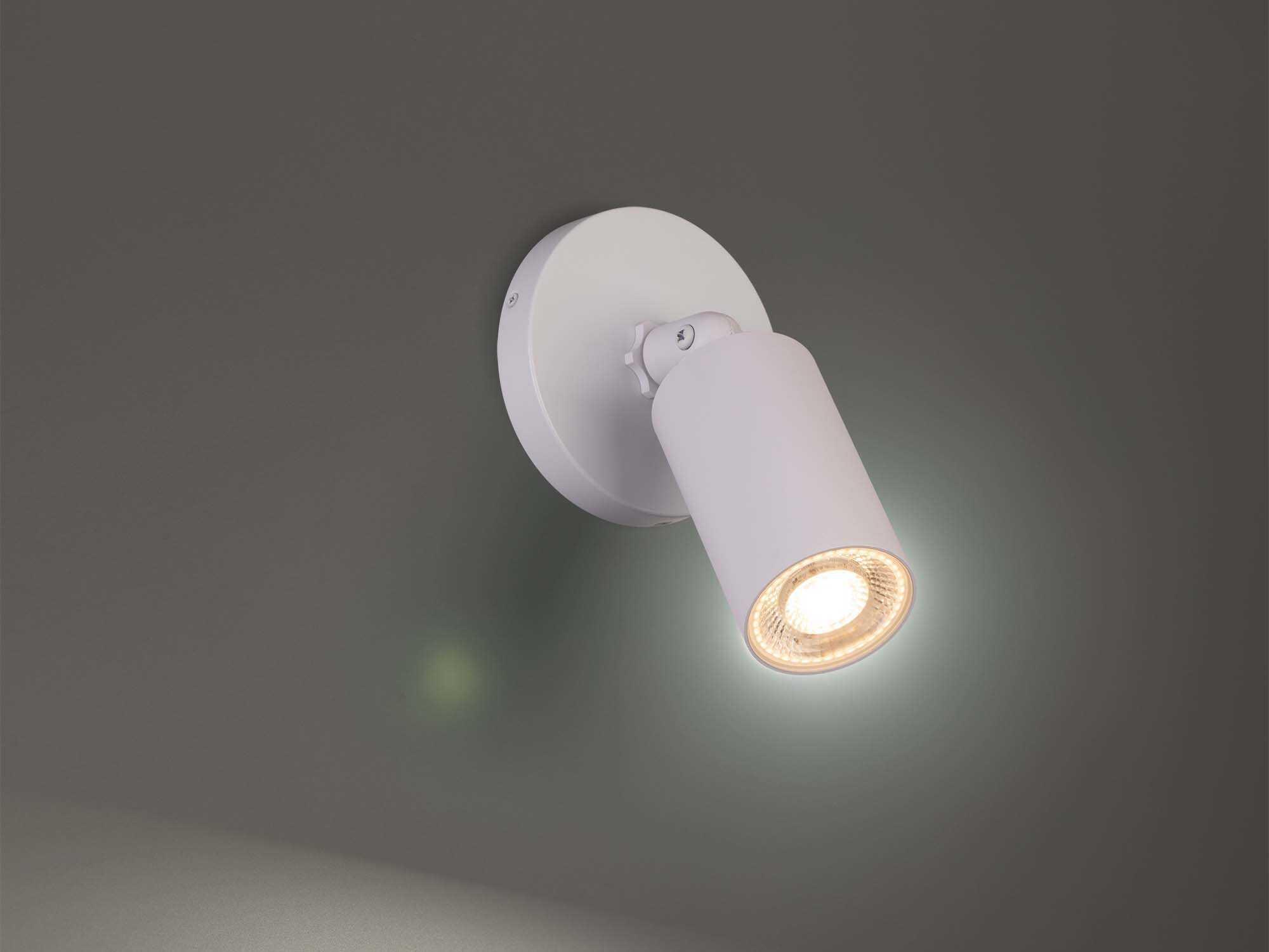 WAC Lighting Cylinder 1-Light Outdoor Spot Light