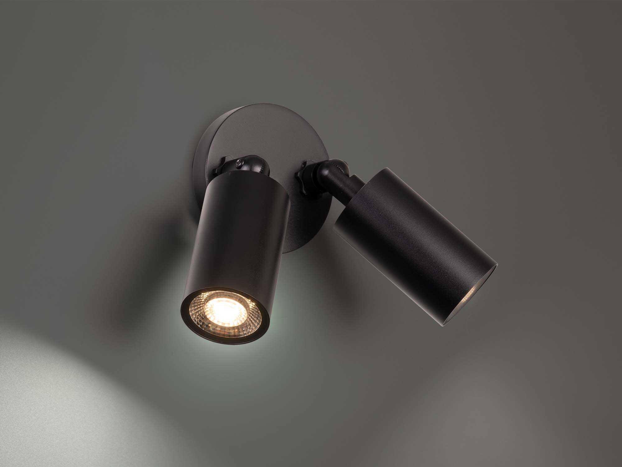 WAC Lighting Cylinder 2-Light Outdoor Spot Light