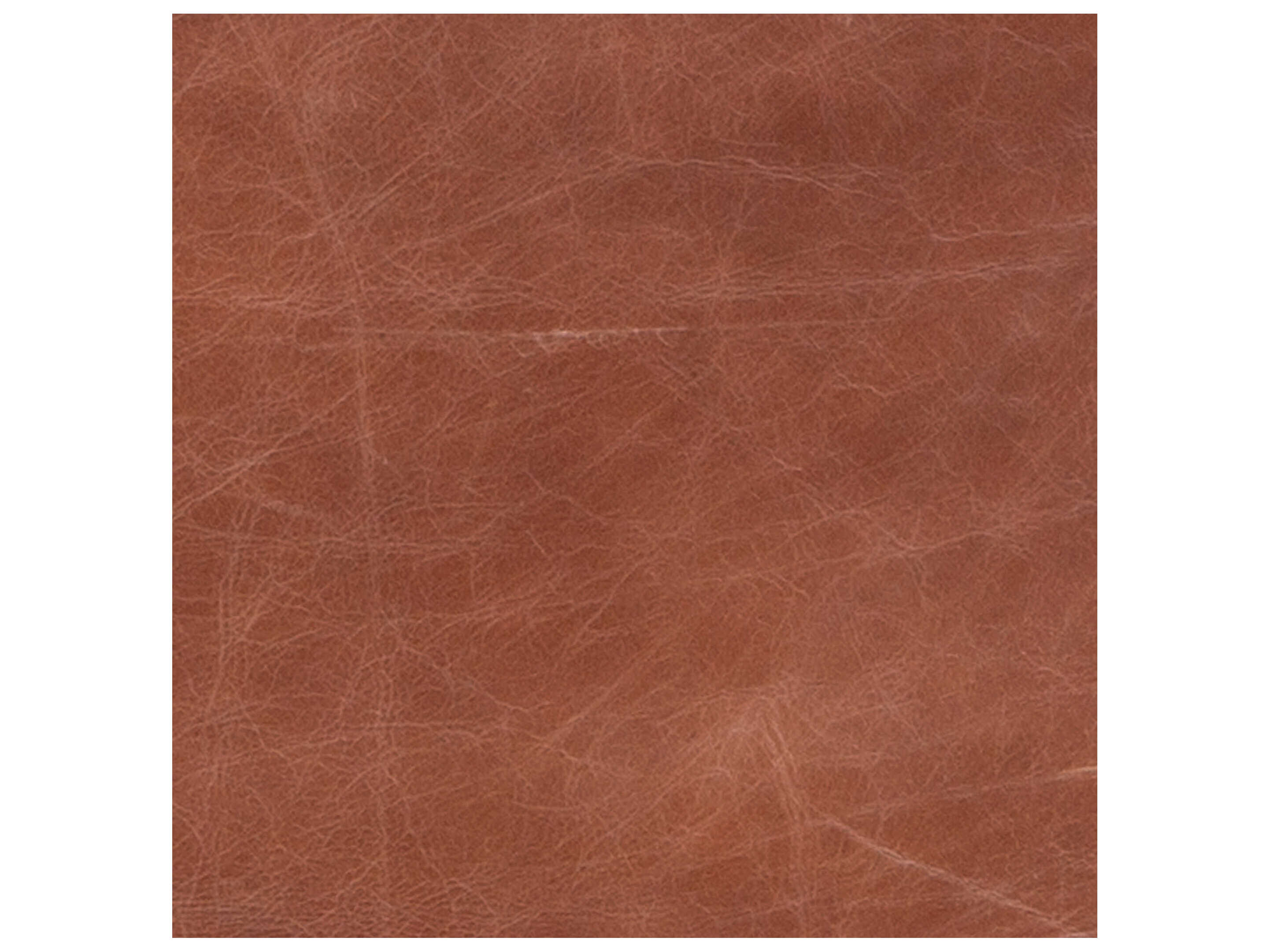 World Interiors Melbourne Black Leather Bar Stool