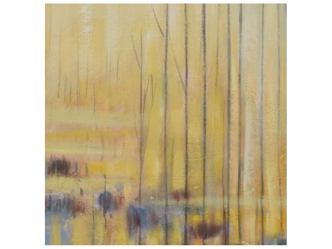 Wildwood Spring Lake Canvas Wall Art