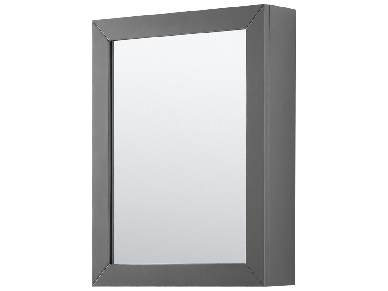 Wyndham Collection Daria 47" Dark Gray Vanity with Medicine Cabinet