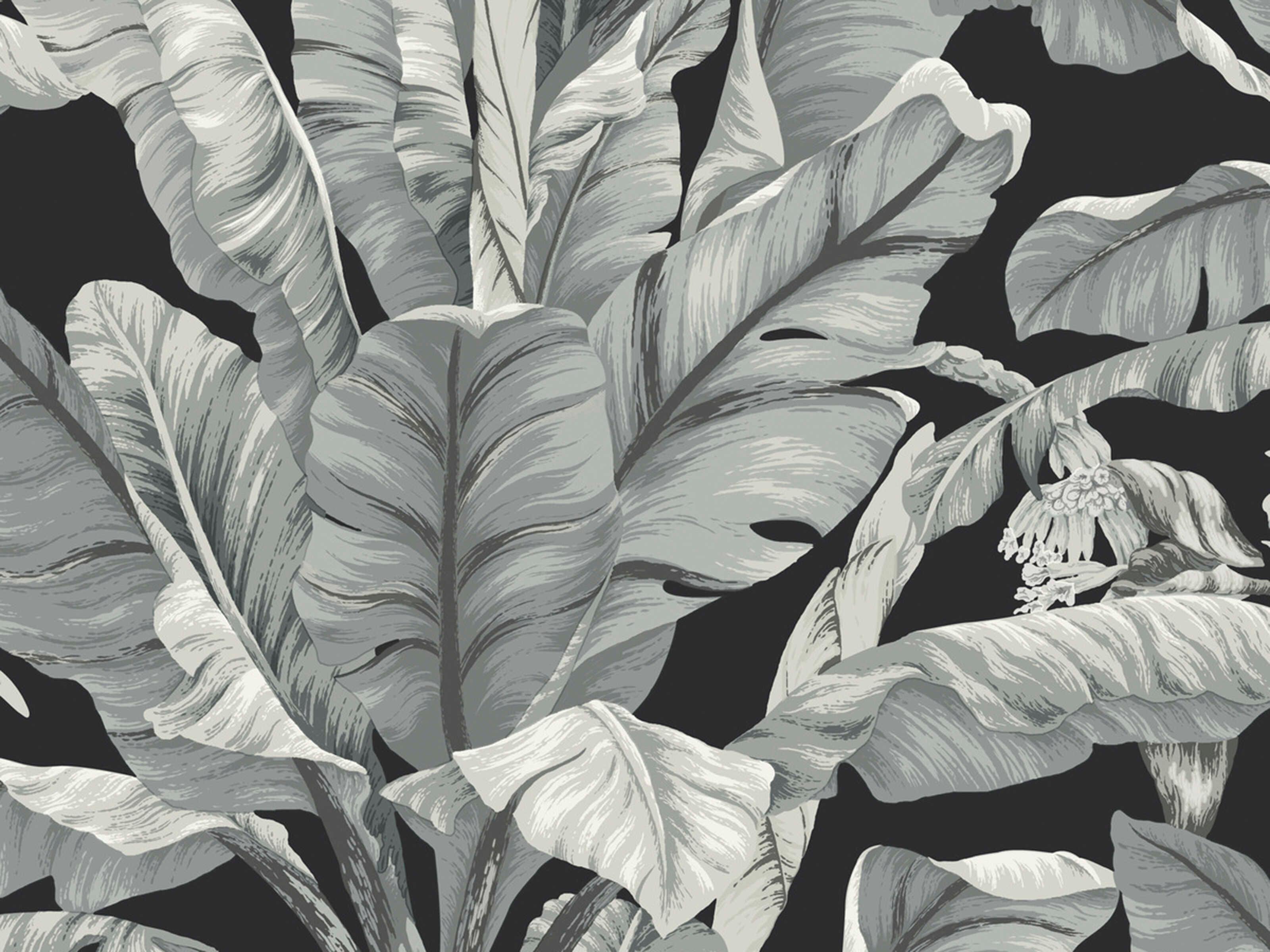 York Wallcoverings Black & White Resource Library Black White Banana Leaf Wallpaper