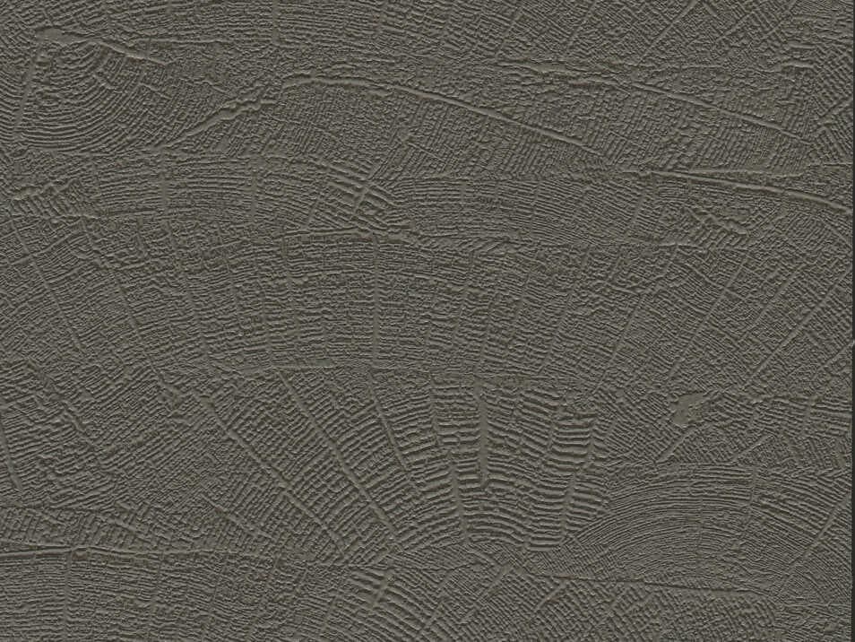 York Wallcoverings Natural Digest Grey Brown On Deck Wallpaper
