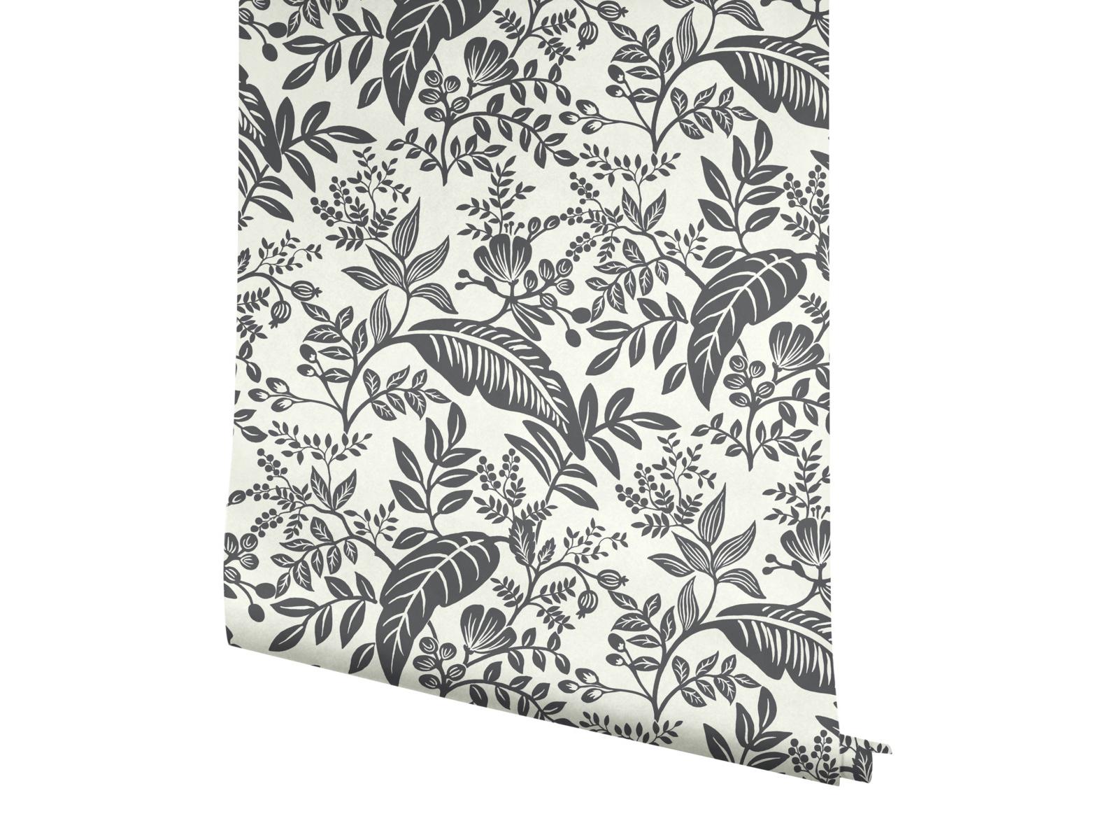 York Wallcoverings Black / White Canopy Wallpaper