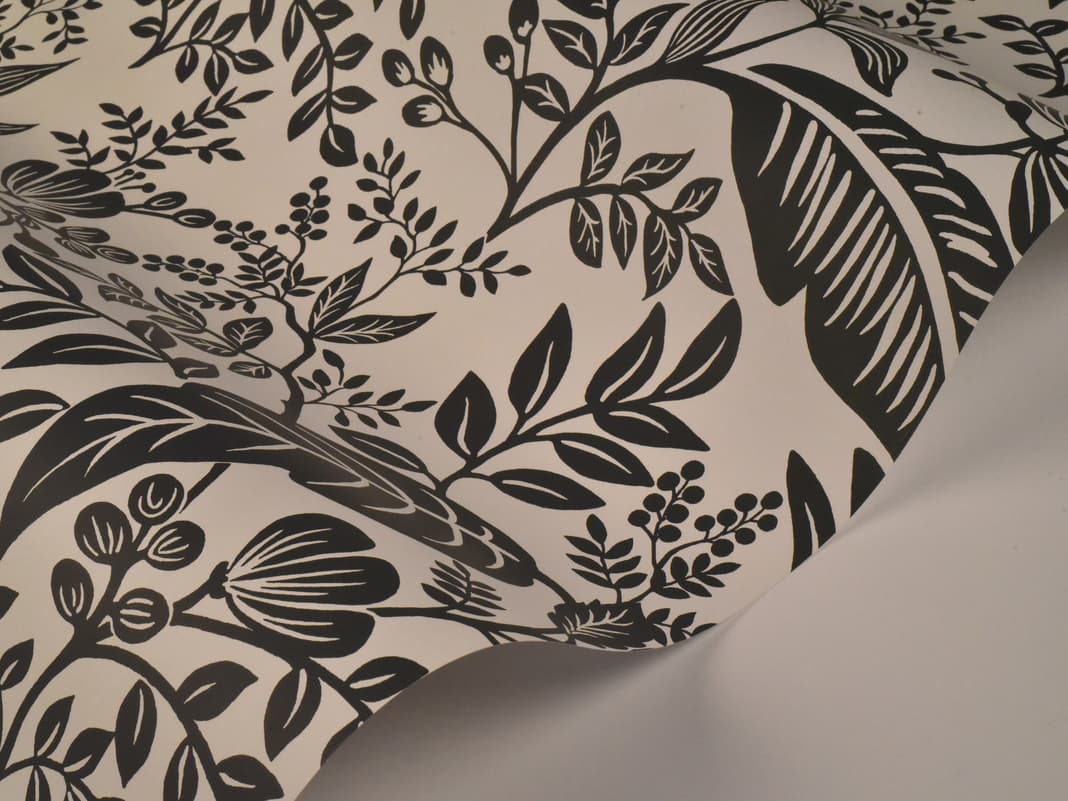 York Wallcoverings Black / White Canopy Wallpaper