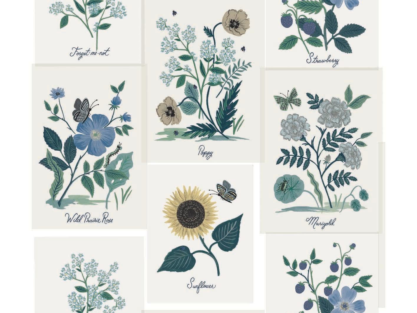 York Wallcoverings Rifle Paper Co. Second Edition White Blue Botanical Prints Wallpaper