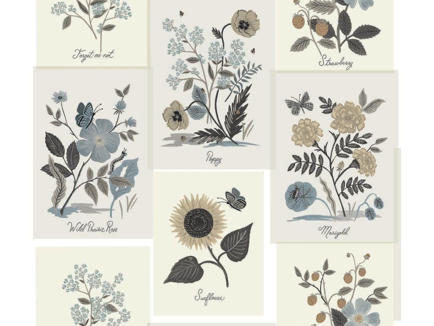York Wallcoverings Rifle Paper Co. Second Edition Beige Black Botanical Prints Wallpaper