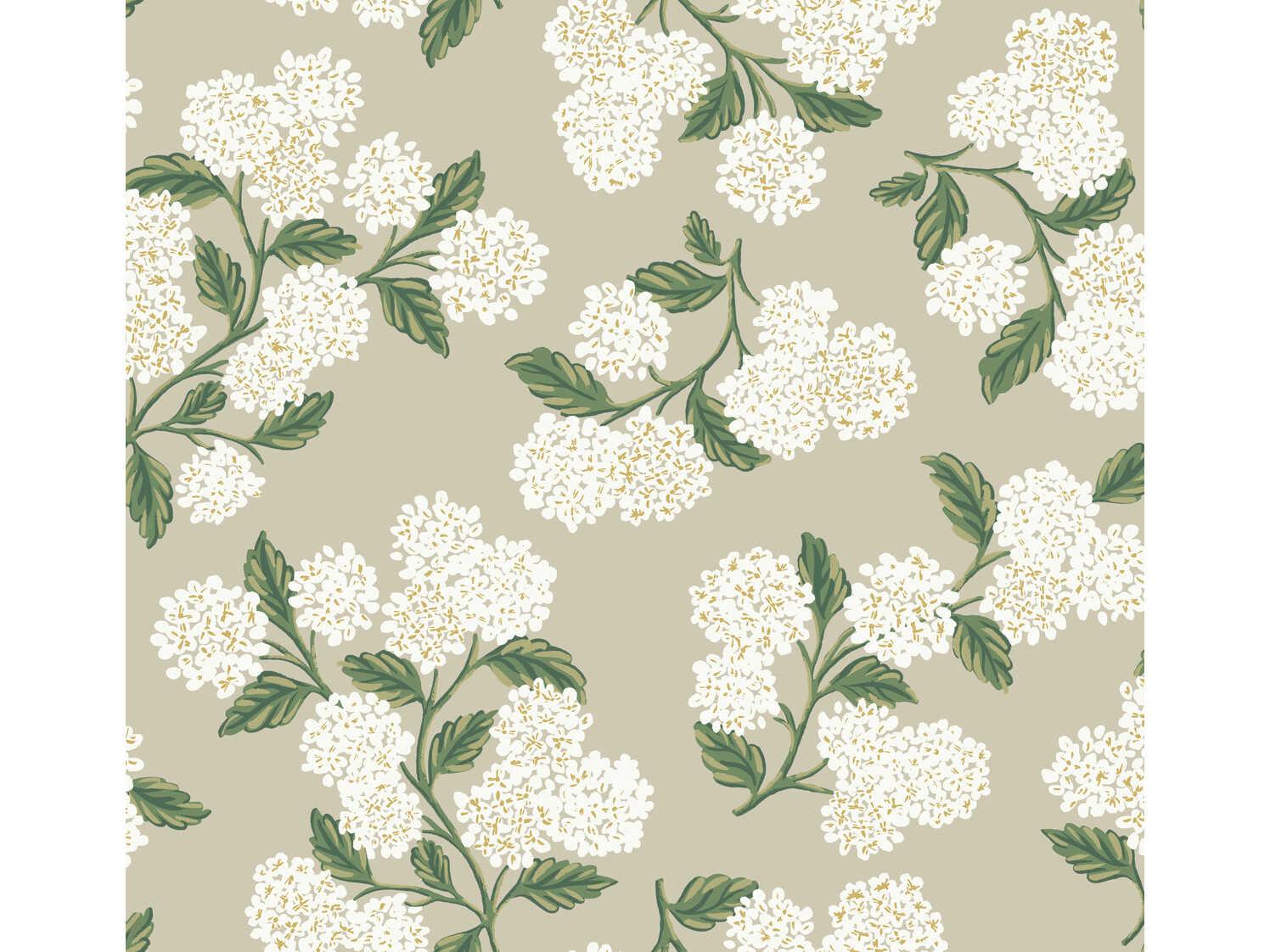 York Wallcoverings Rifle Paper Co. Second Edition Beige Hydrangea Wallpaper