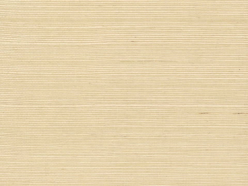 York Wallcoverings Grasscloth Resource Library Biscuit Sisal Wallpaper