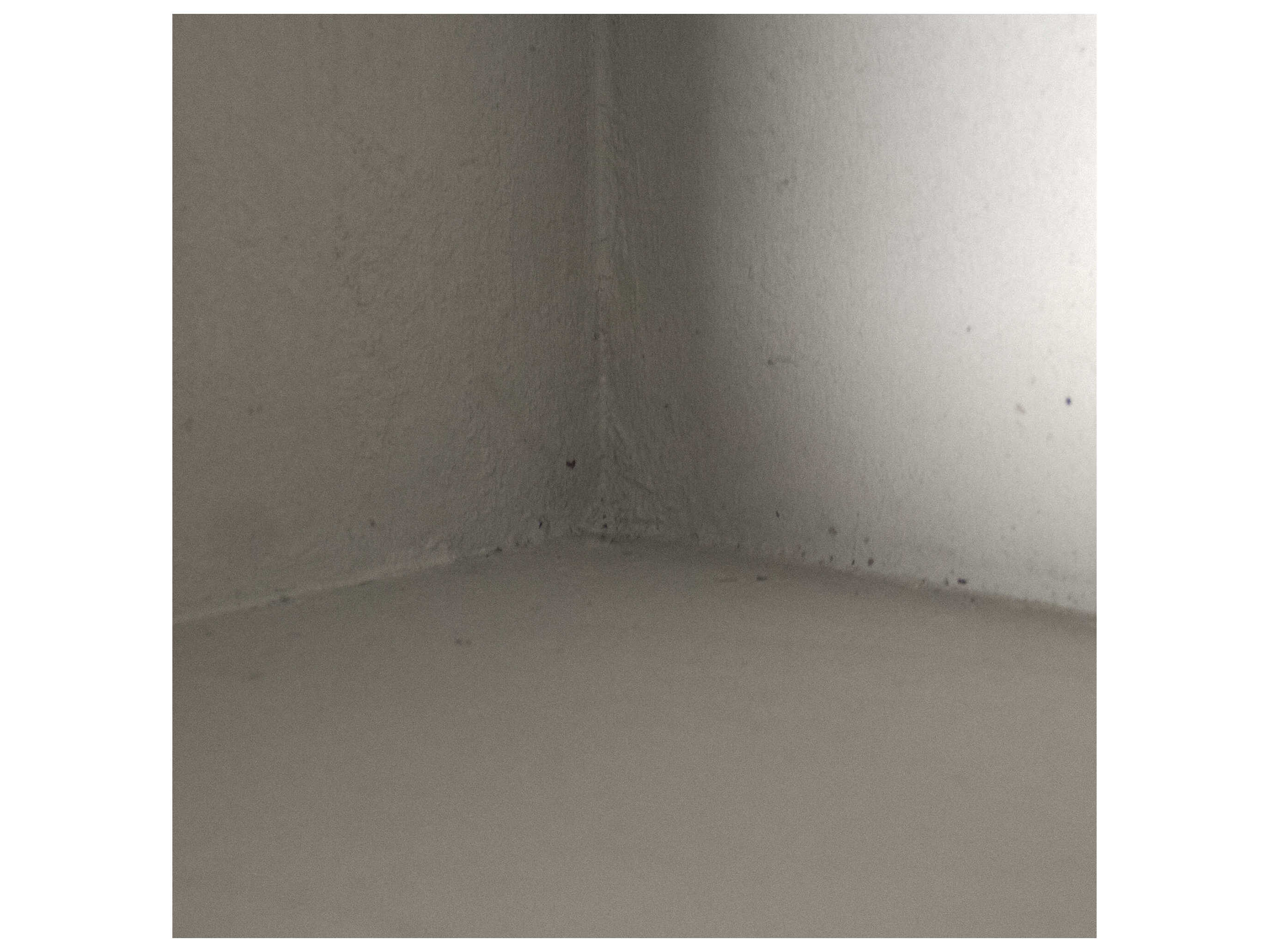 Zentique Tristao Pine Wood Distressed Grey Wash Display Cabinet