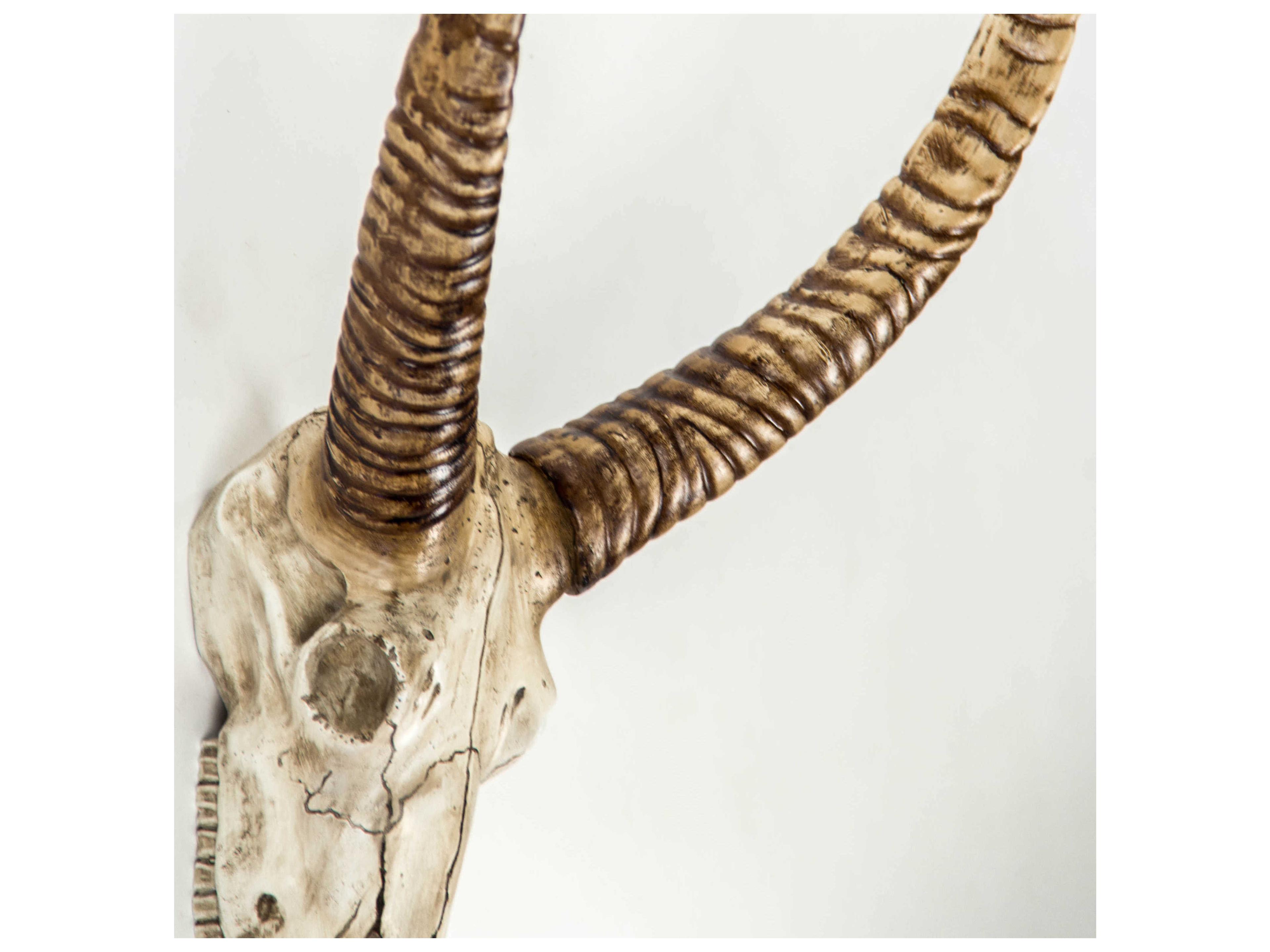 Zentique Distressed White / Brown Goat Skull 3D Wall Art