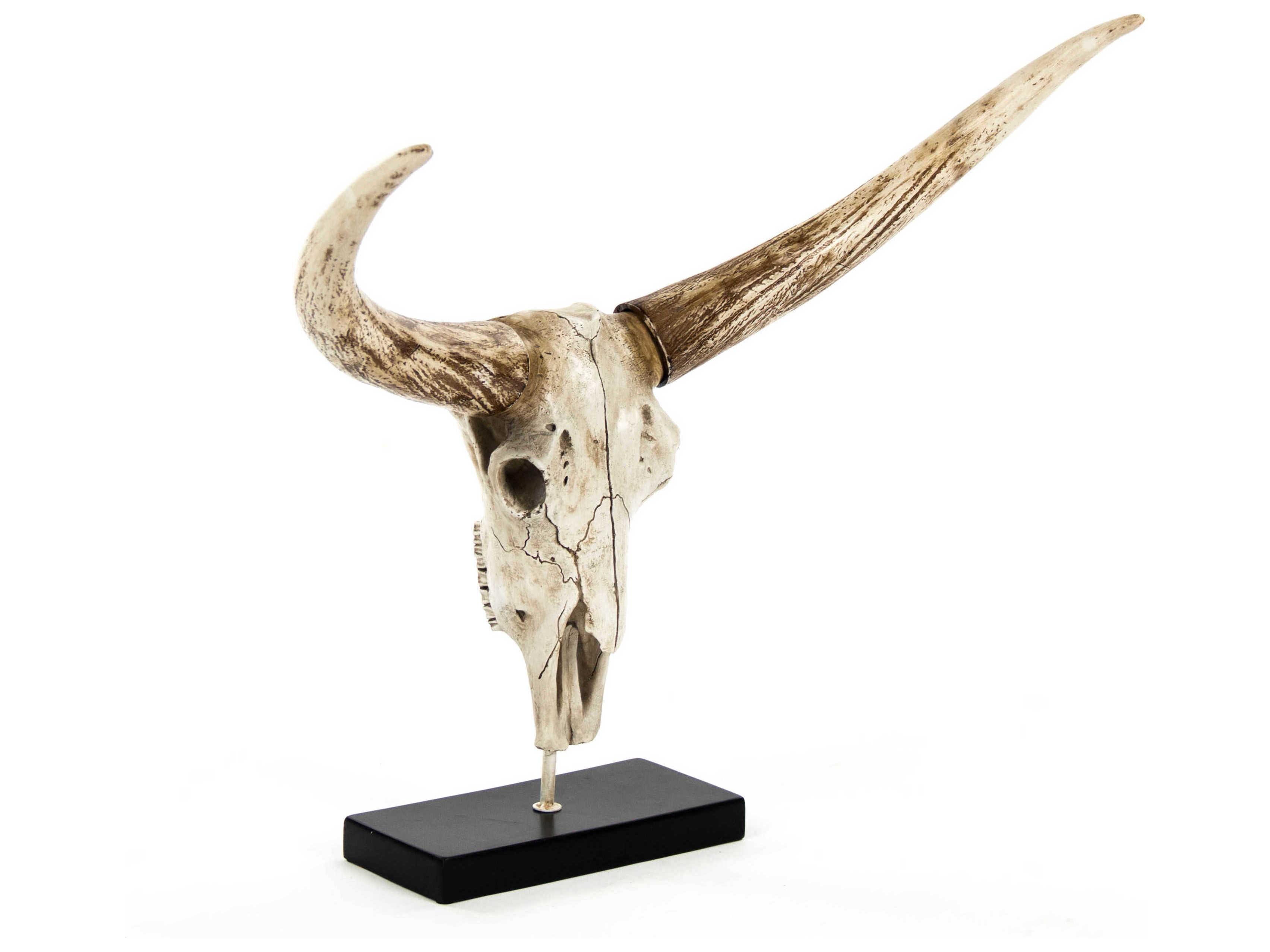 Zentique Distressed White / Brown Bull Skull Sculpture