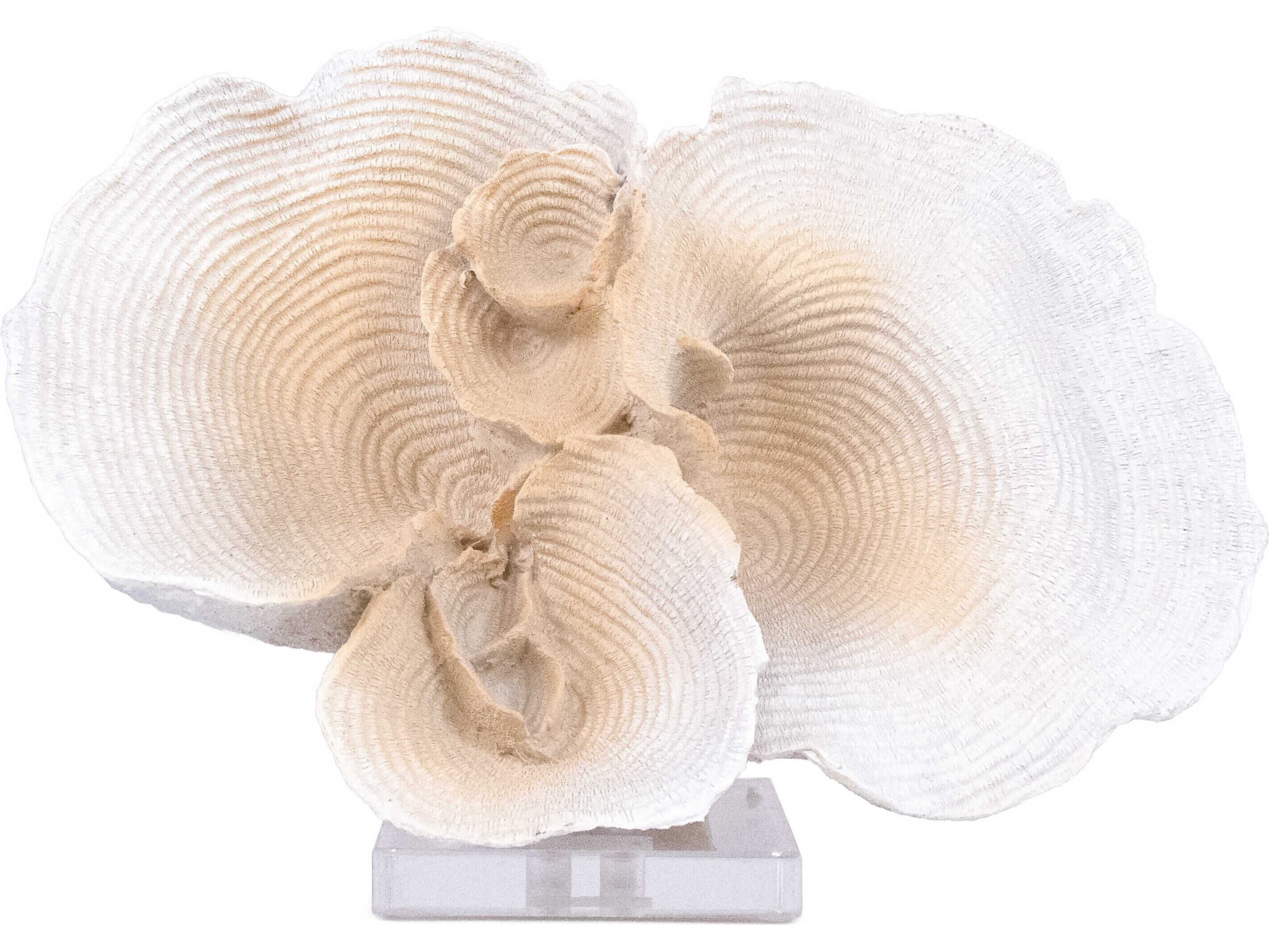 Zentique Off-White Resin Coral Decorative Accent