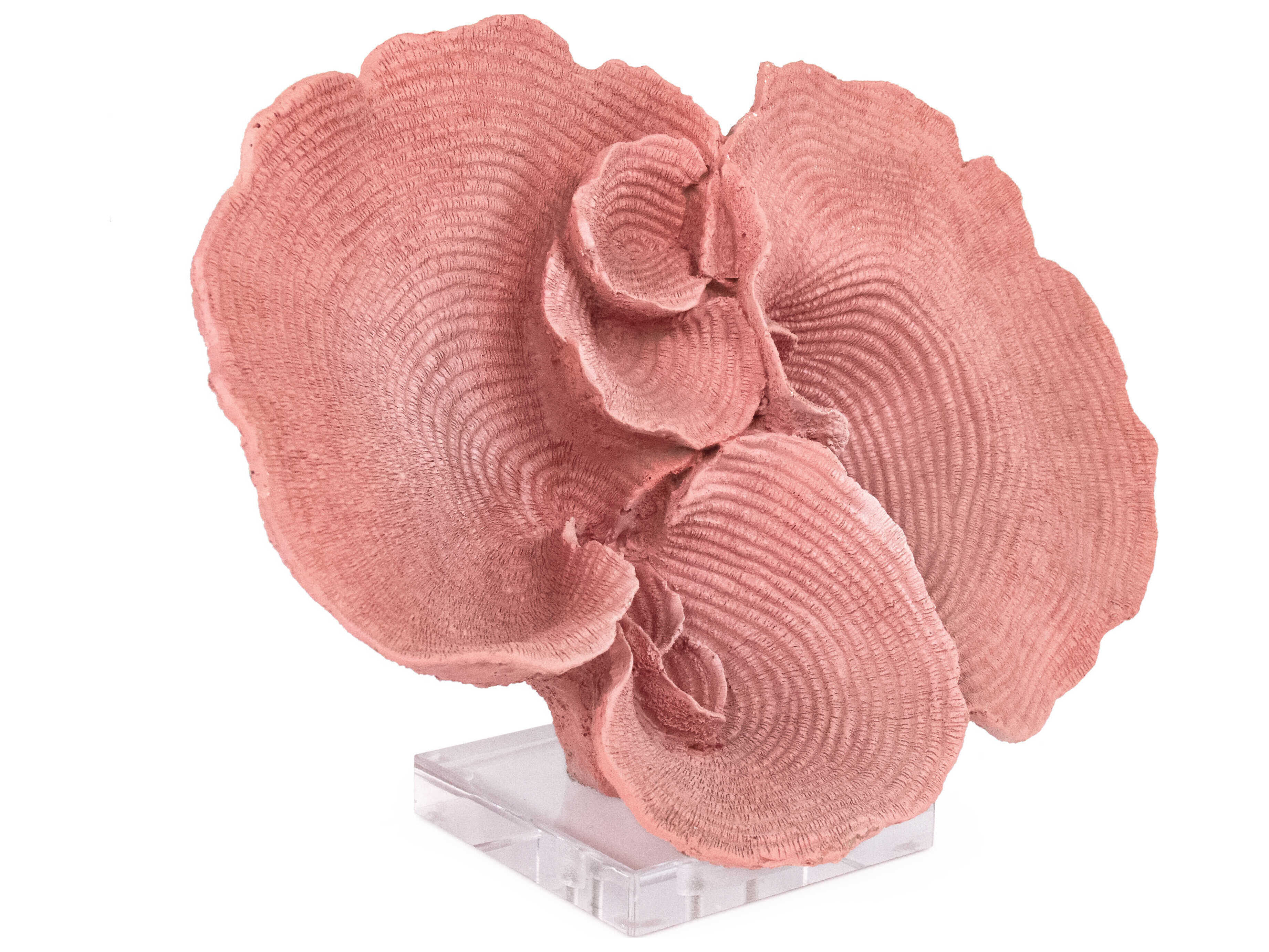 Zentique Coral on Acrylic Base Distressed Ombre Pink Decorative Accent