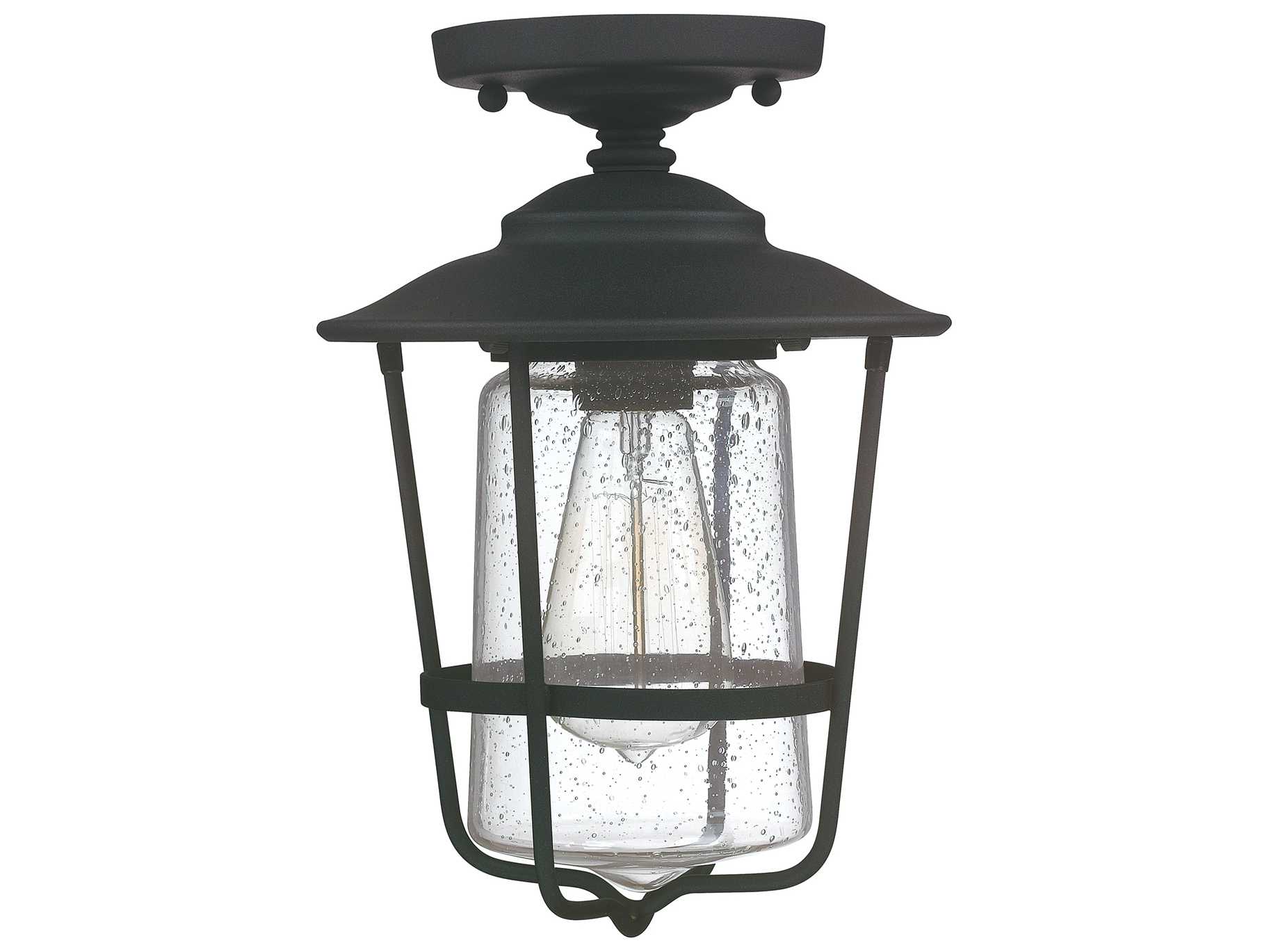 Capital Lighting Creekside Black Outdoor Ceiling Light