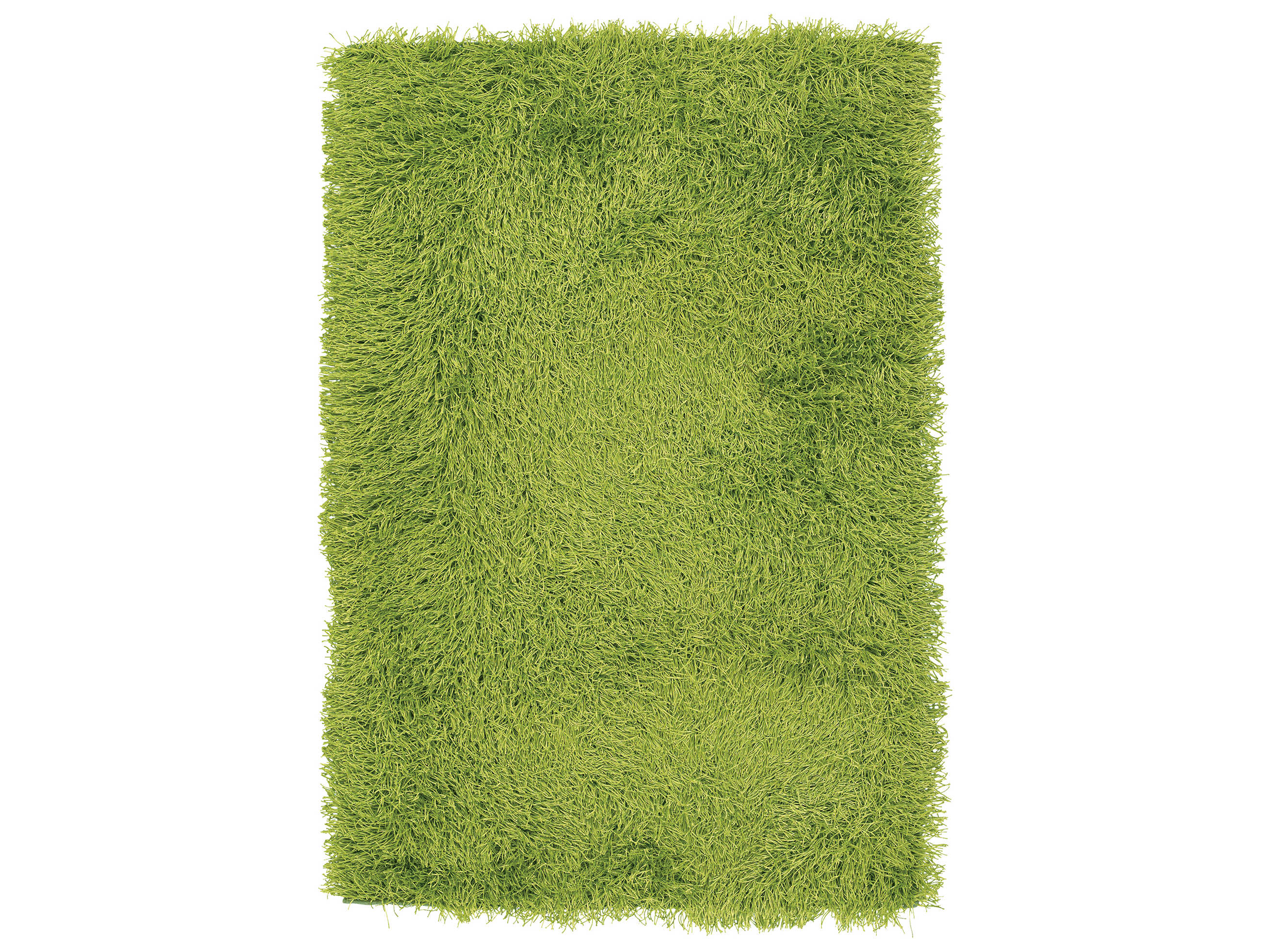 Chandra Duke Shag Area Rug