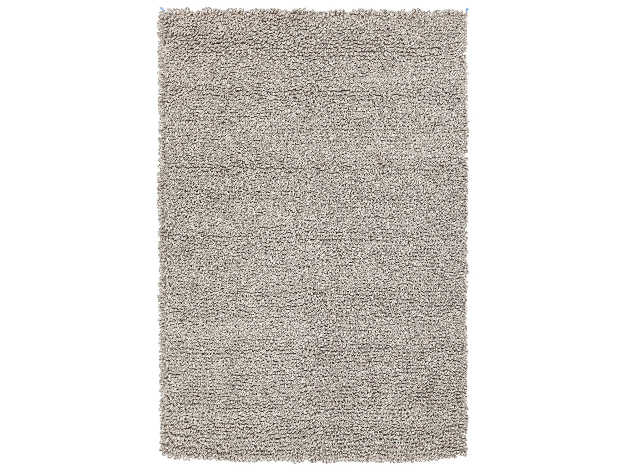 Chandra Evelyn Area Rug
