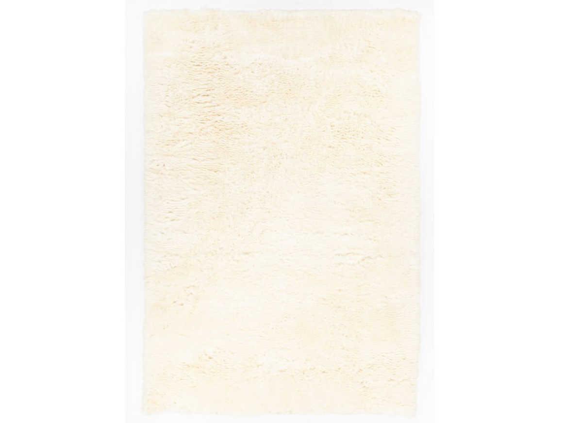 Chandra Ezmae Shag Area Rug