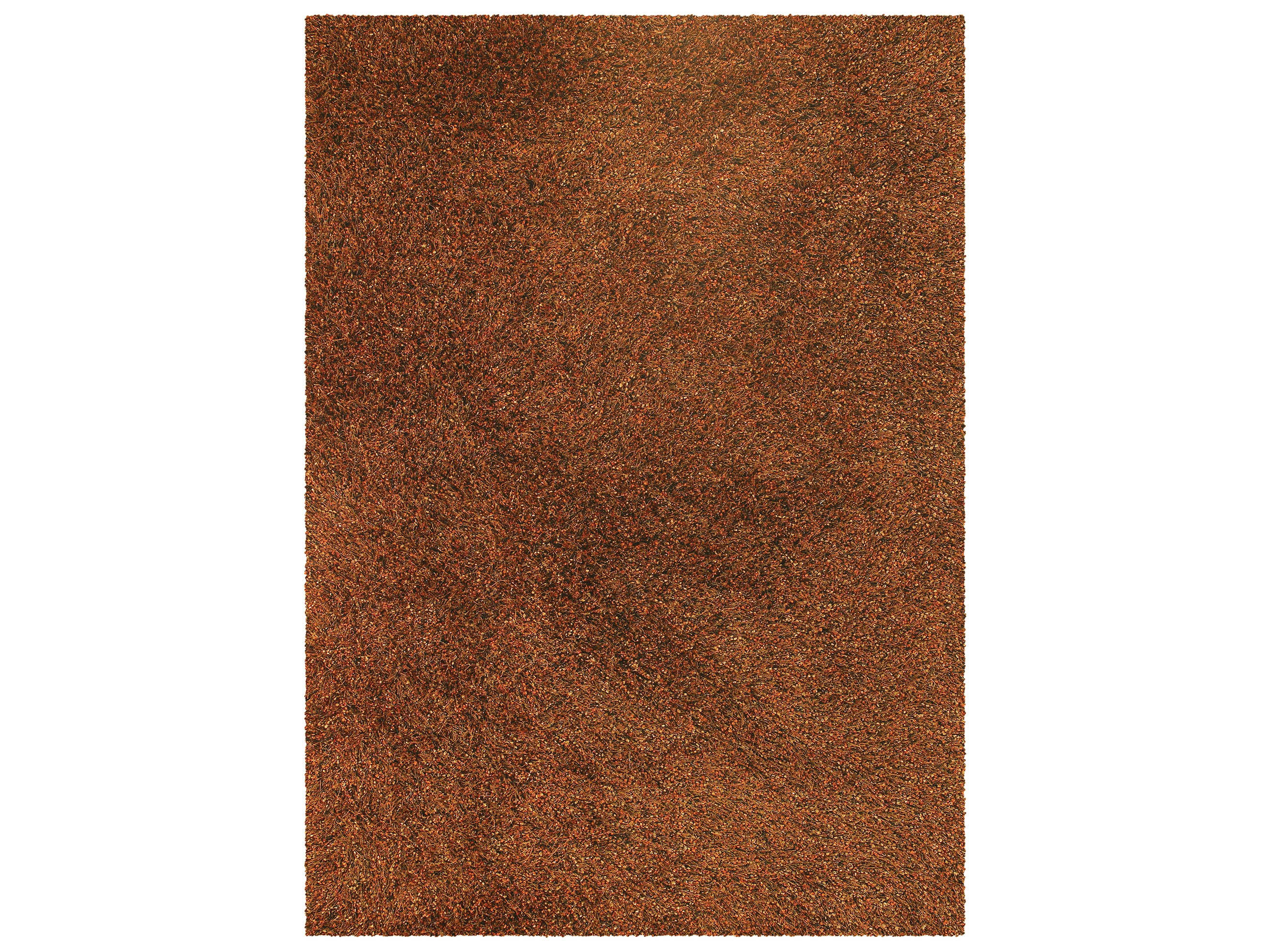 Chandra Mai Shag Area Rug