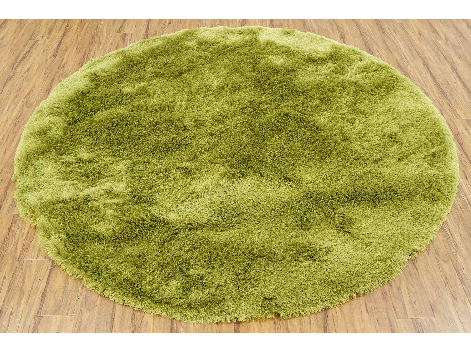 Chandra Naya Shag Area Rug