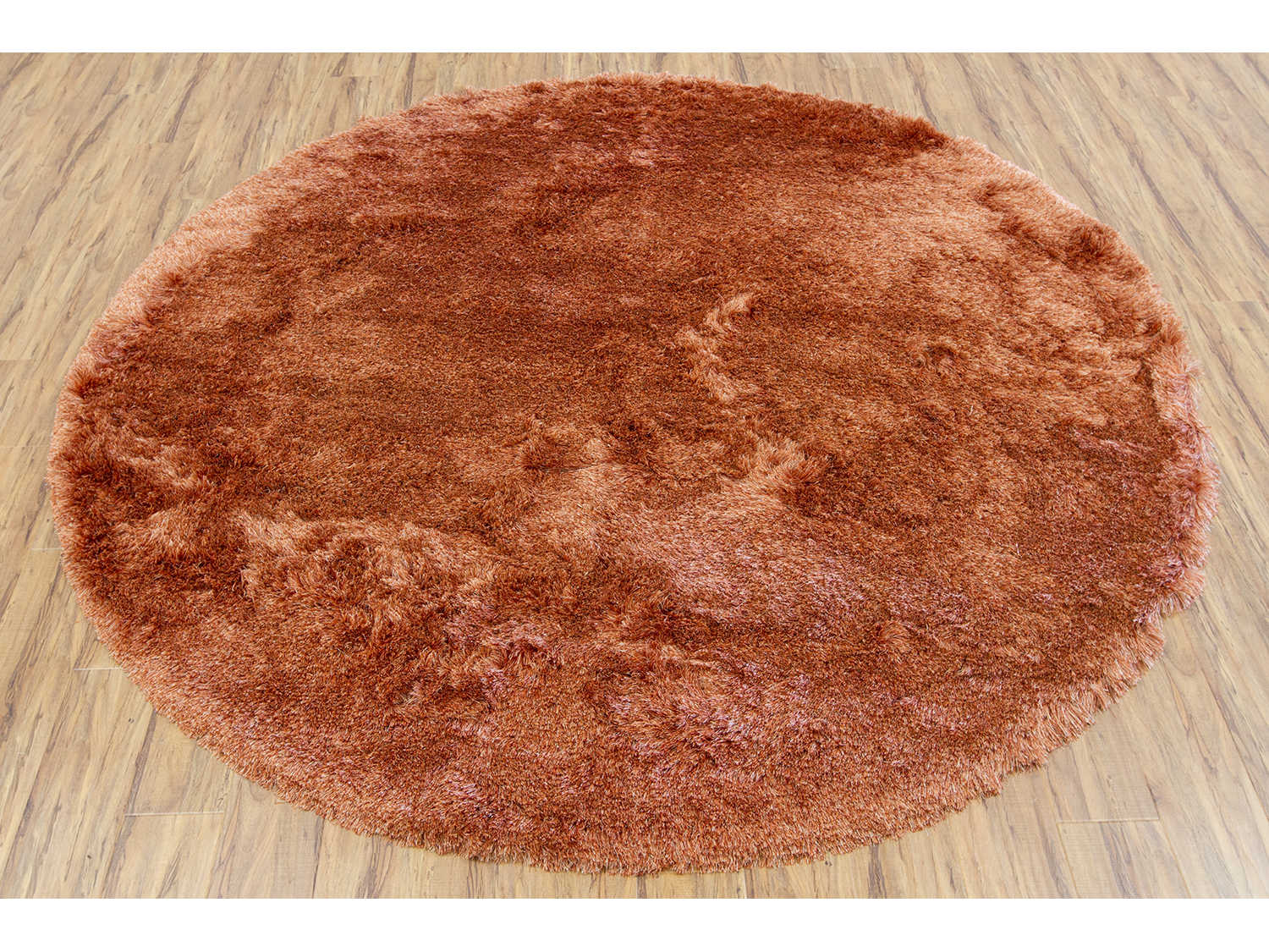 Chandra Naya Shag Area Rug