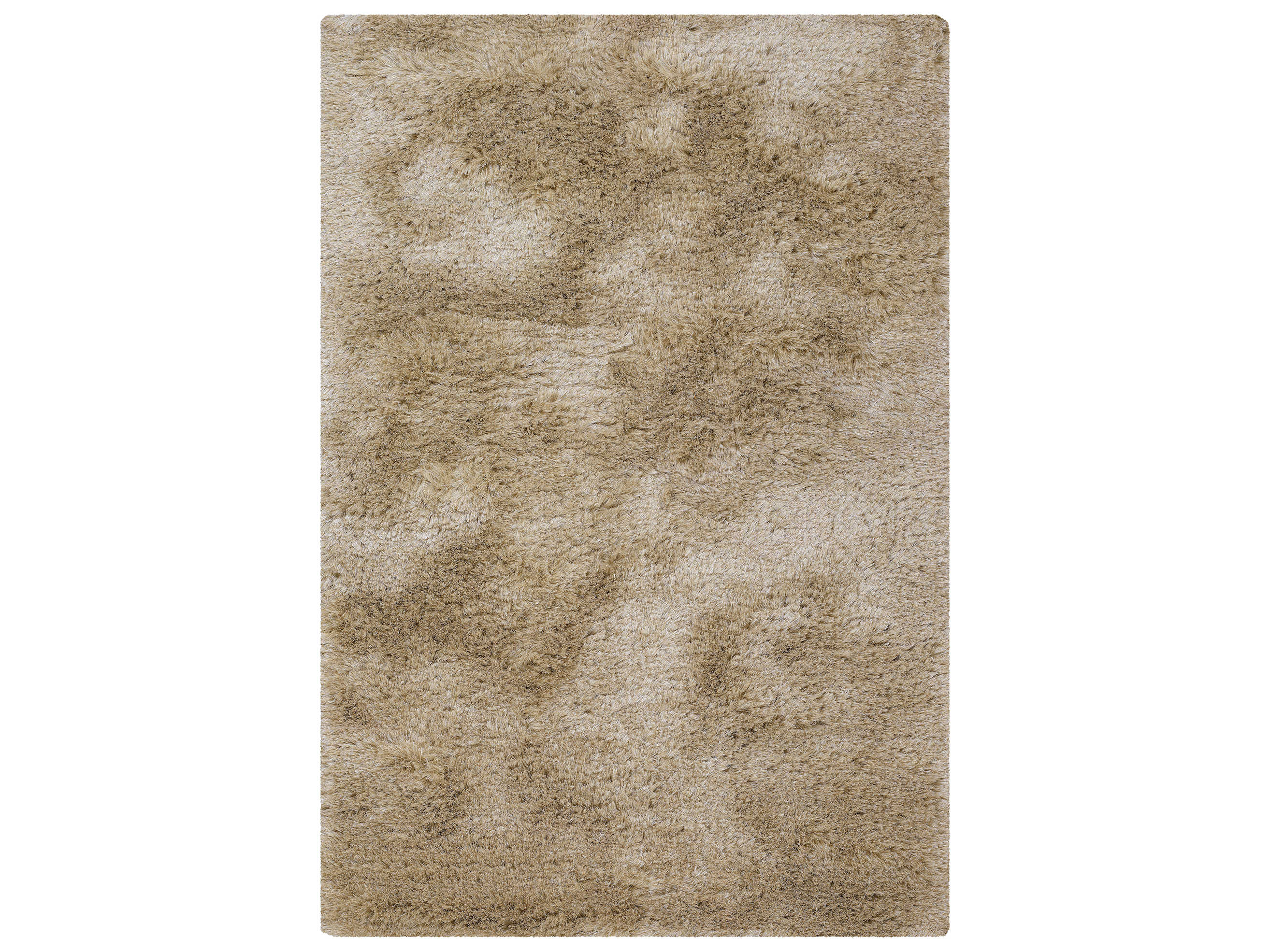 Chandra Naya Shag Area Rug