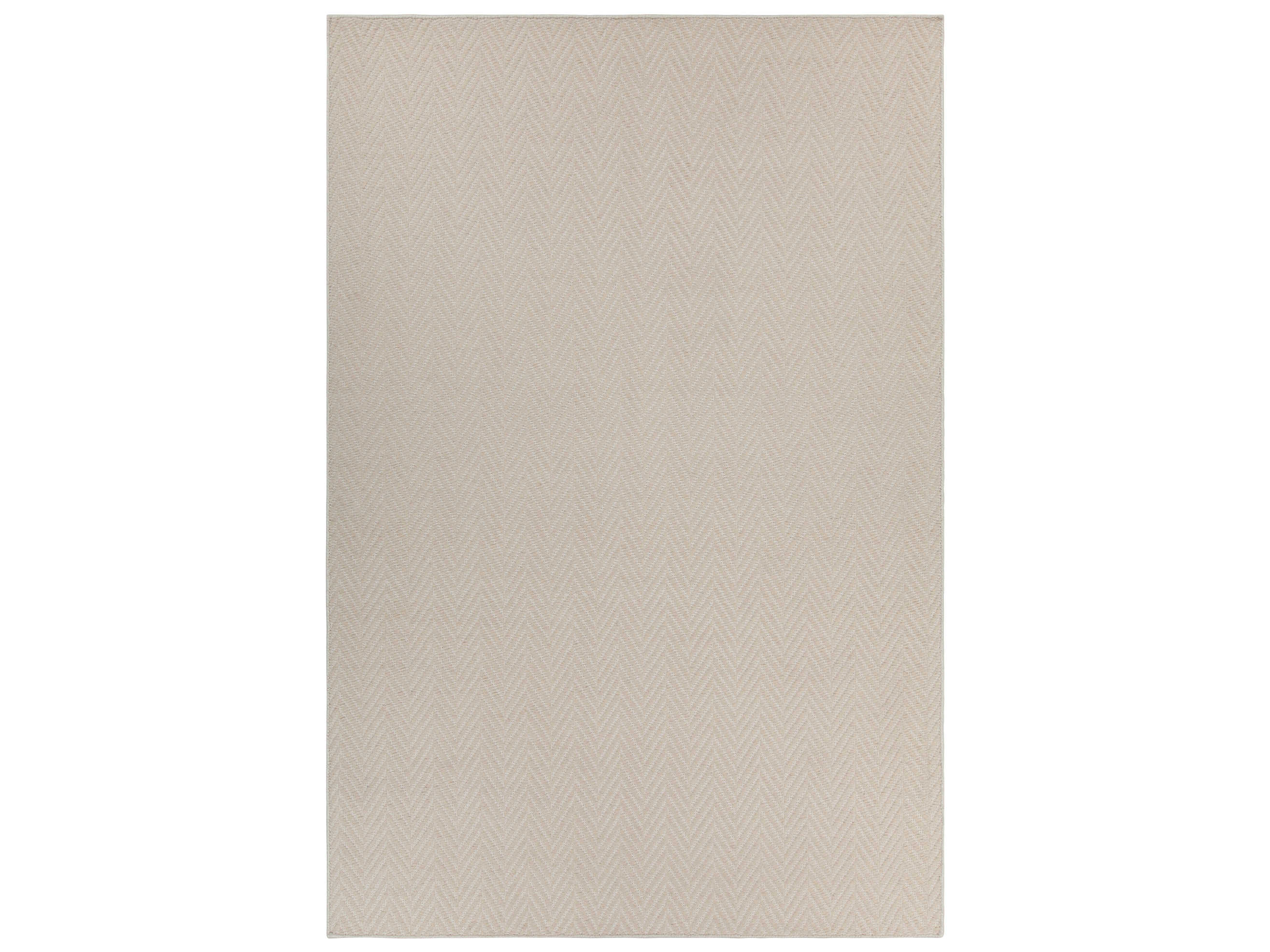 Chandra Paisley Chevron Area Rug