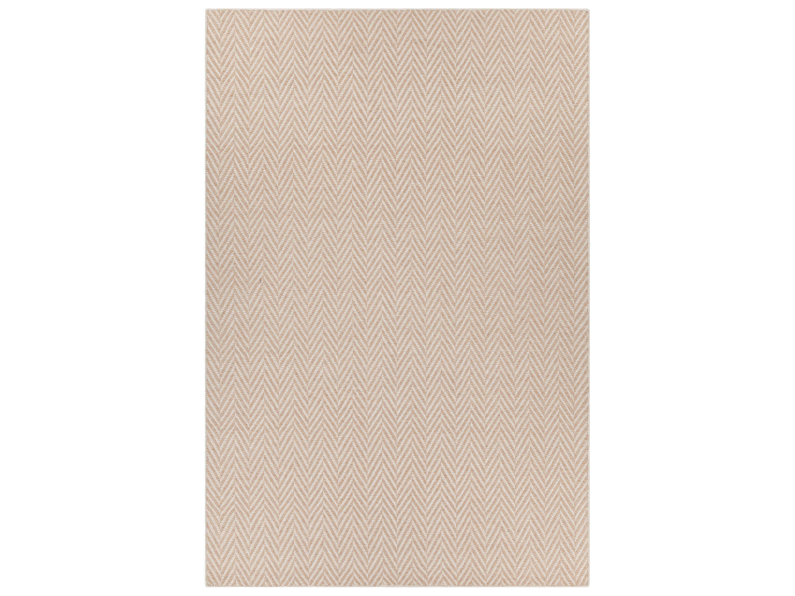 Chandra Paisley Chevron Area Rug