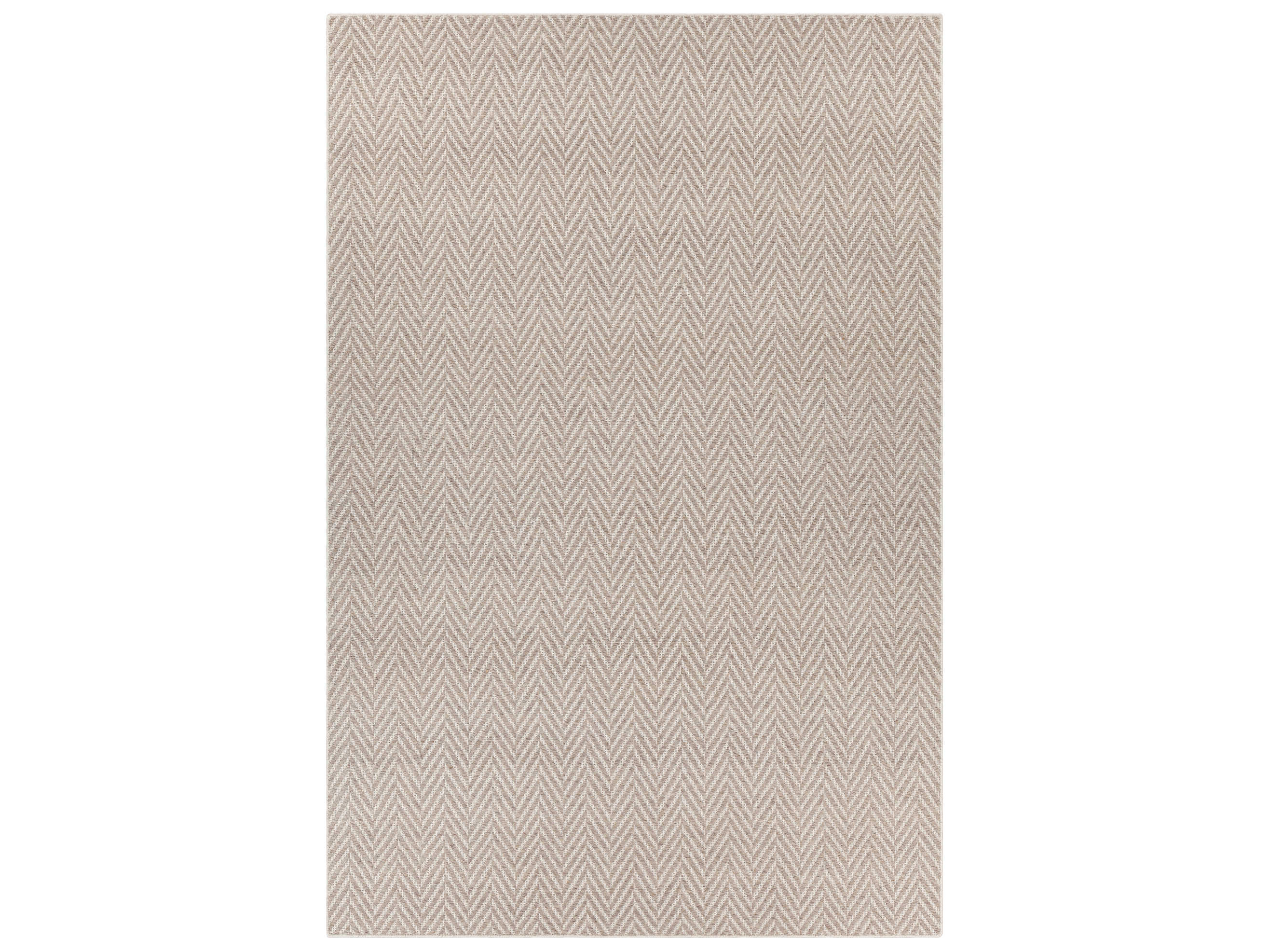 Chandra Paisley Chevron Area Rug